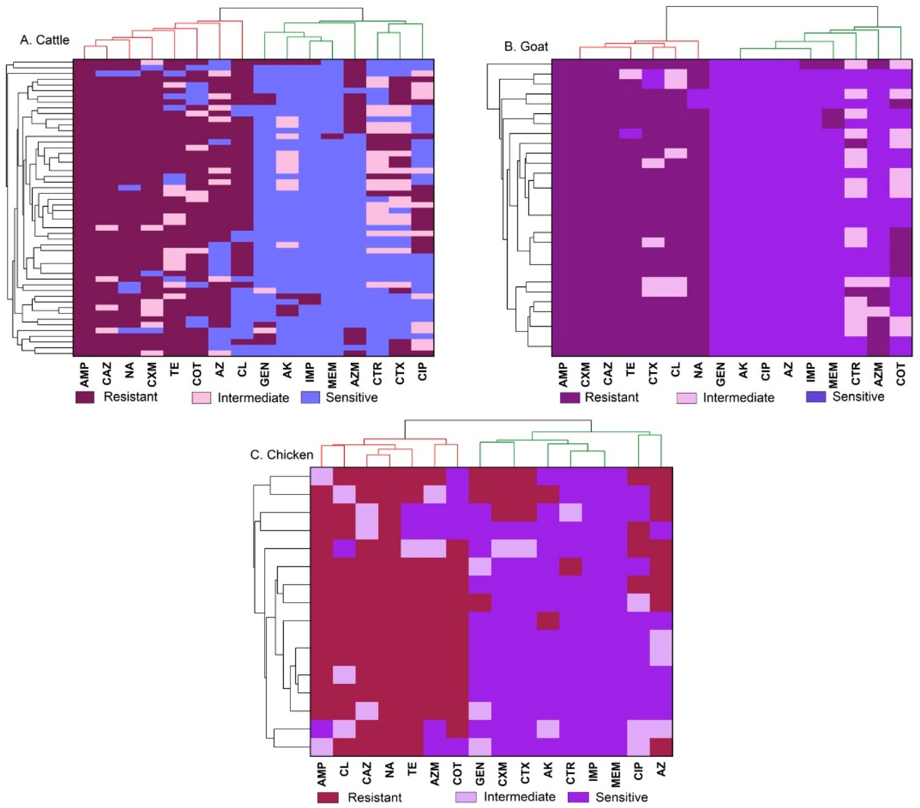 Antibiotics 13 00586 g003