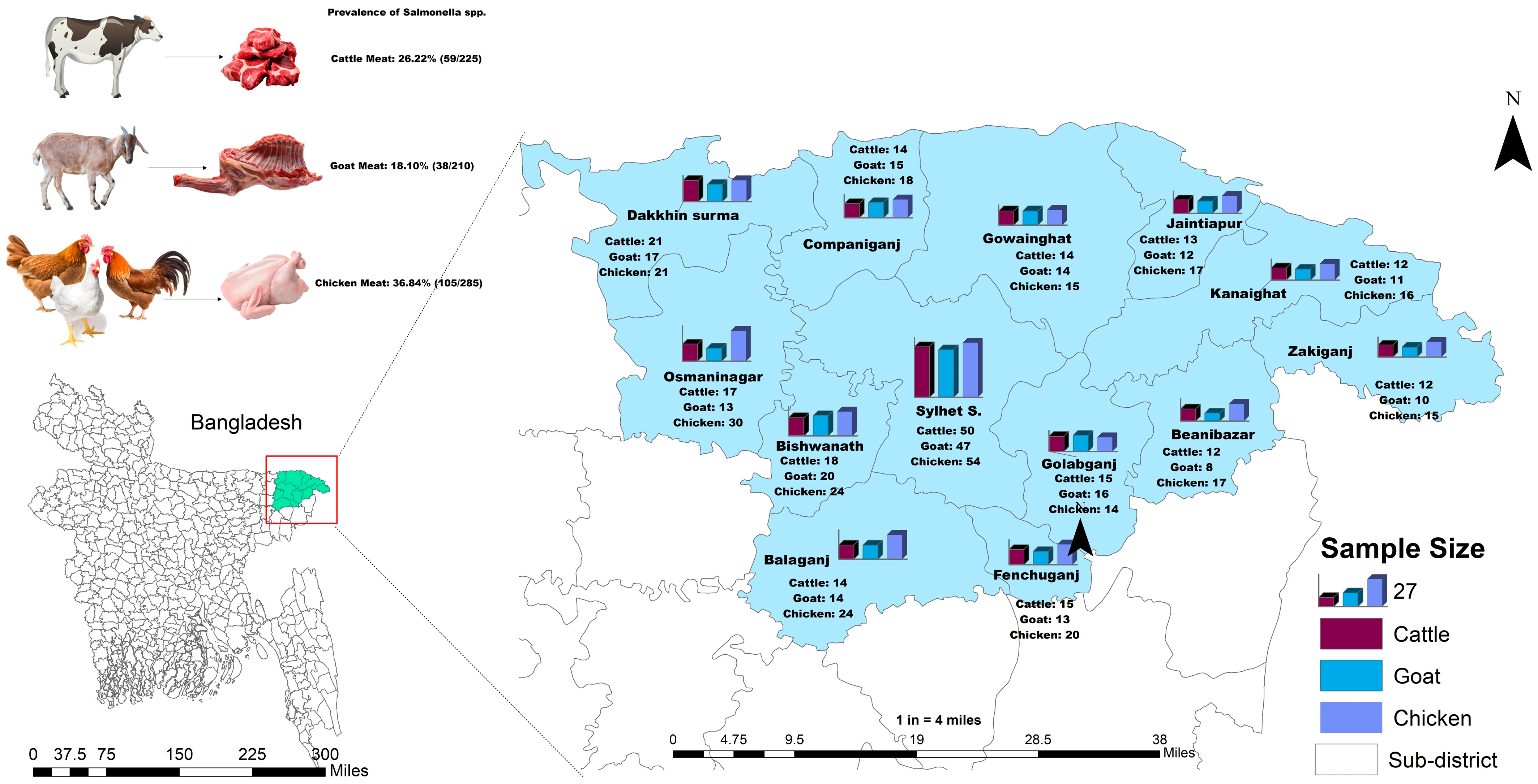 Antibiotics 13 00586 g007