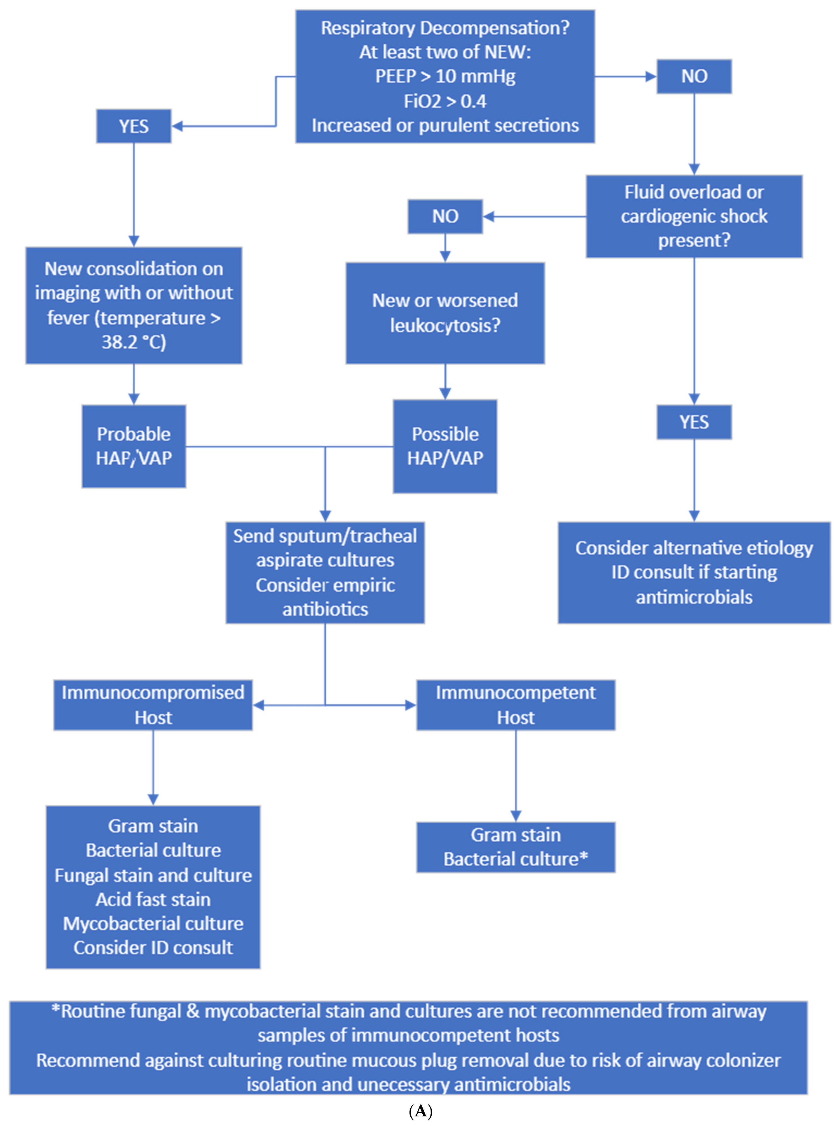 Antibiotics 13 00590 g002a