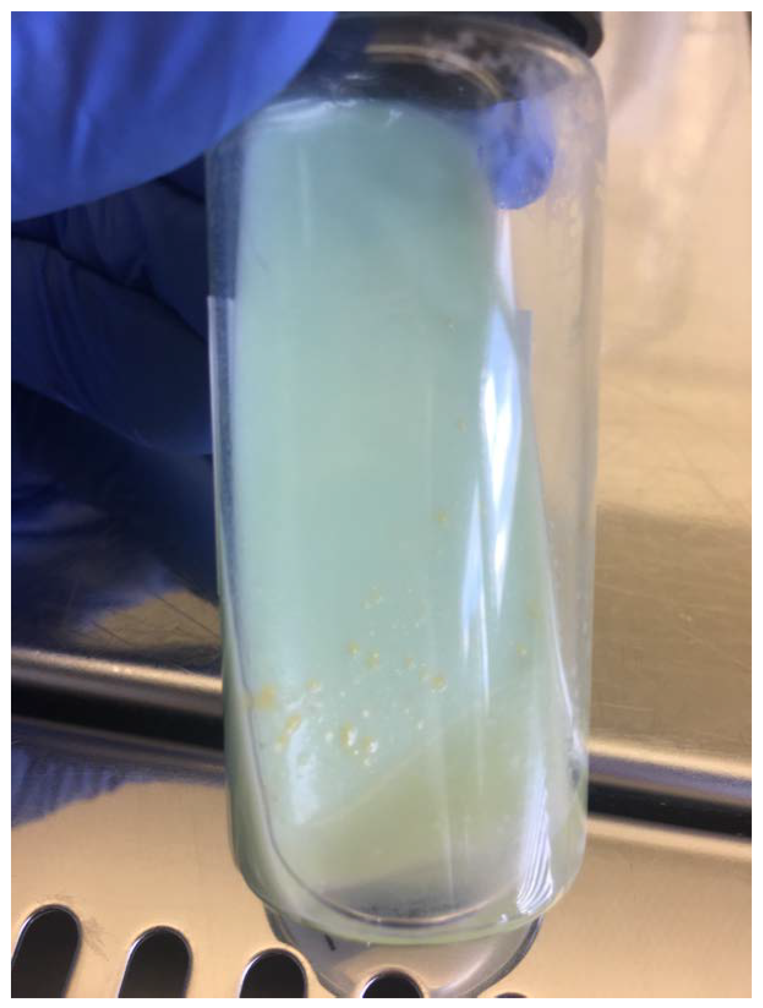 Antibiotics 13 00591 g001