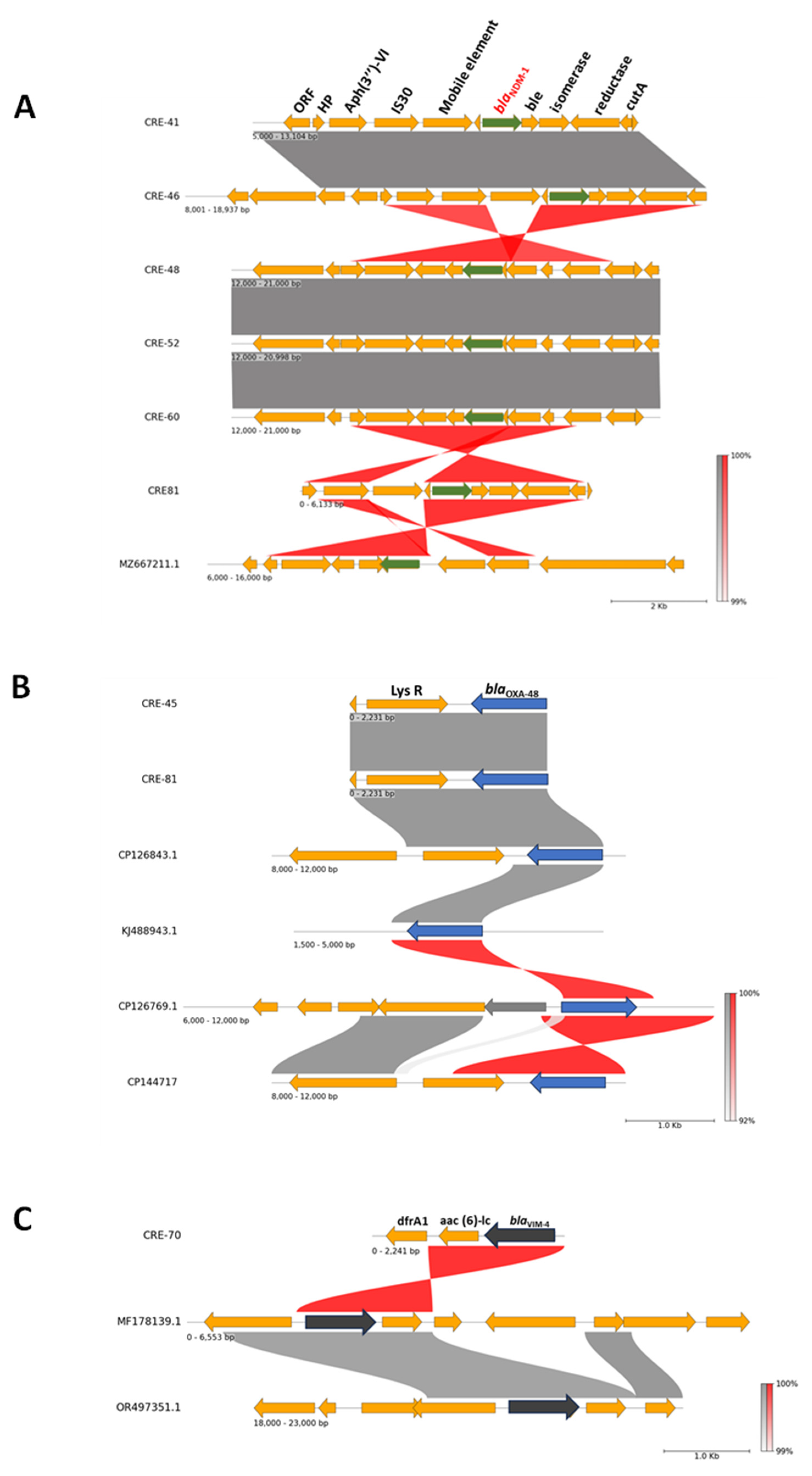 Antibiotics 13 00592 g003