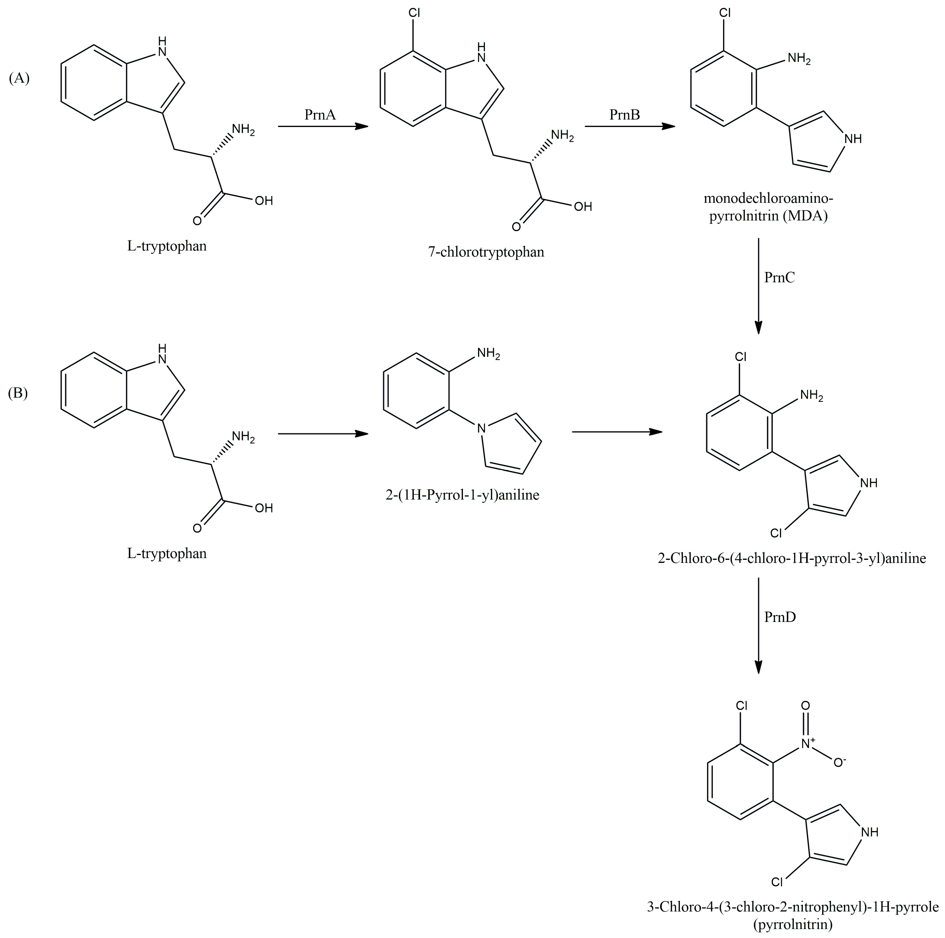 Antibiotics 13 00597 g005