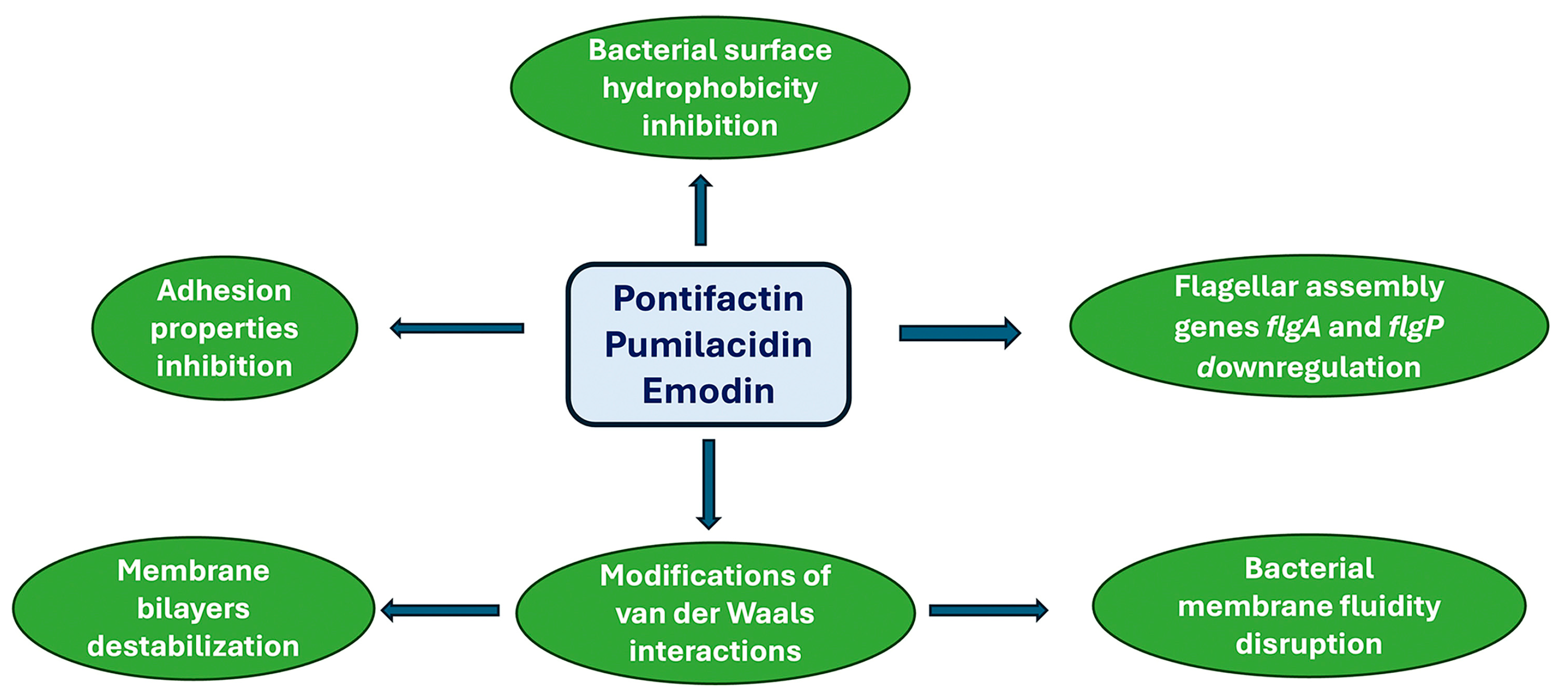 Antibiotics 13 00603 g002