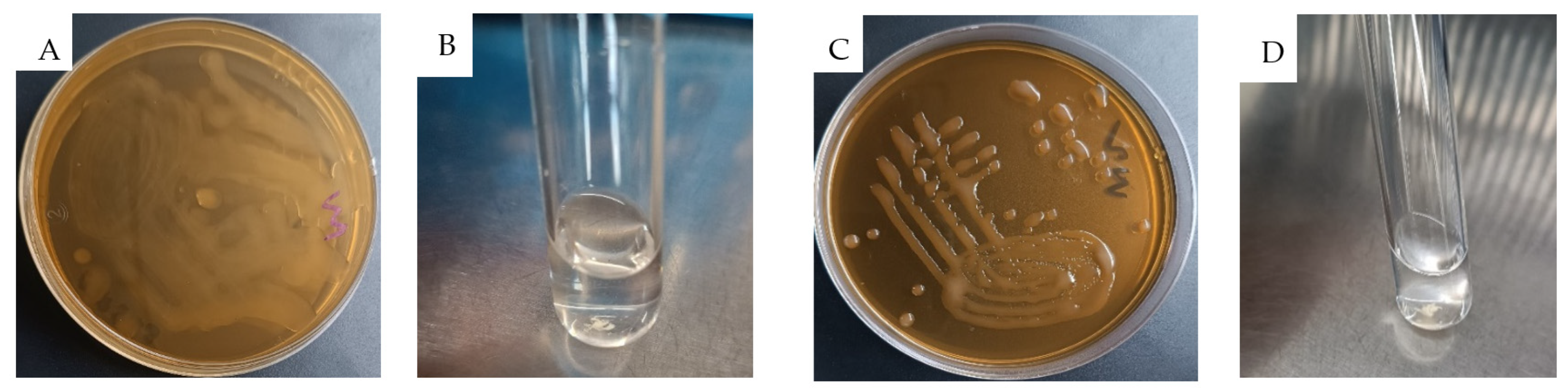 Antibiotics 13 00604 g003 Antibiotics 13 00604 g003