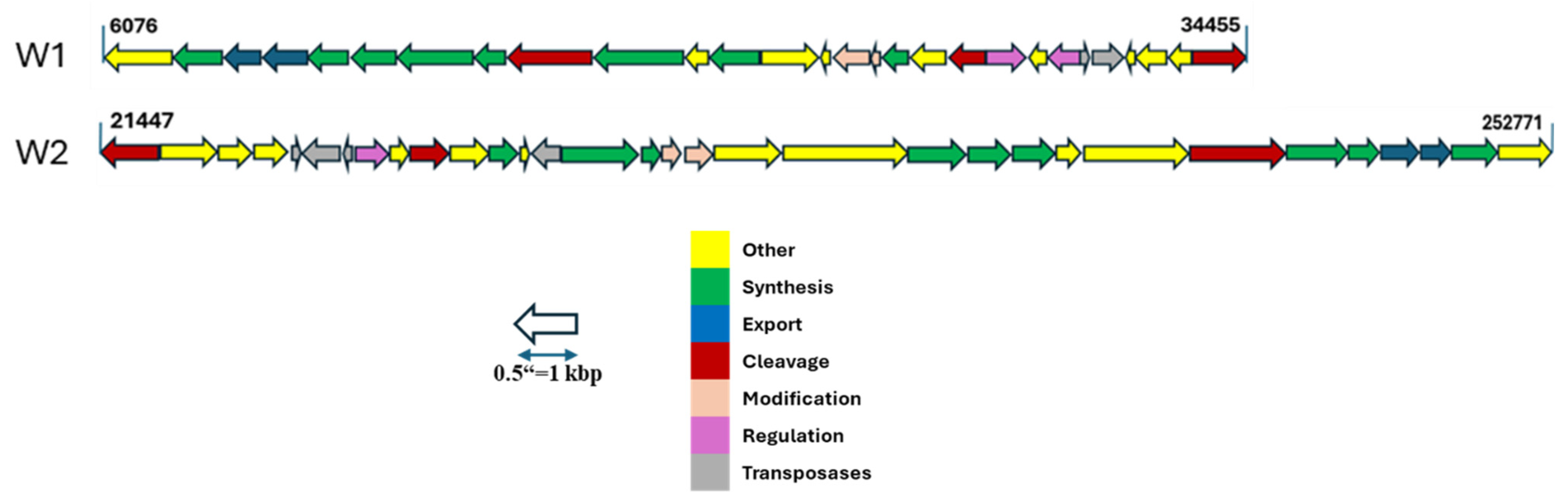 Antibiotics 13 00604 g008 Antibiotics 13 00604 g008