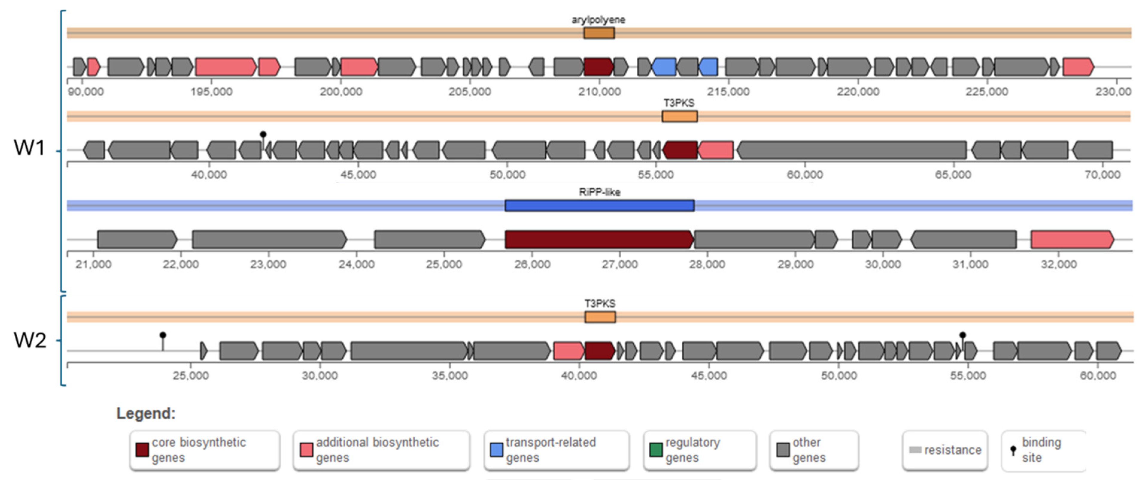 Antibiotics 13 00604 g009 Antibiotics 13 00604 g009