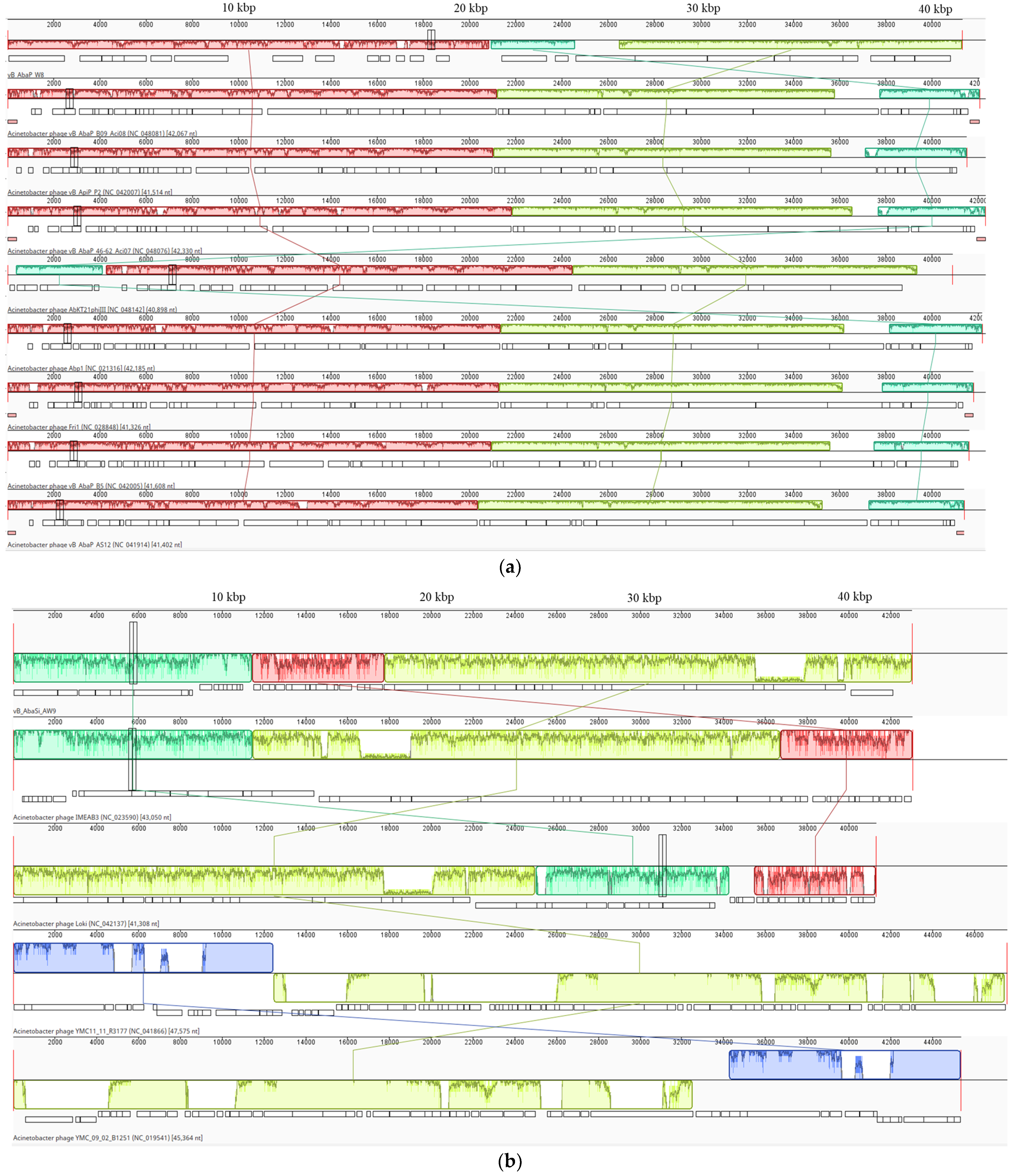 Antibiotics 13 00610 g002a