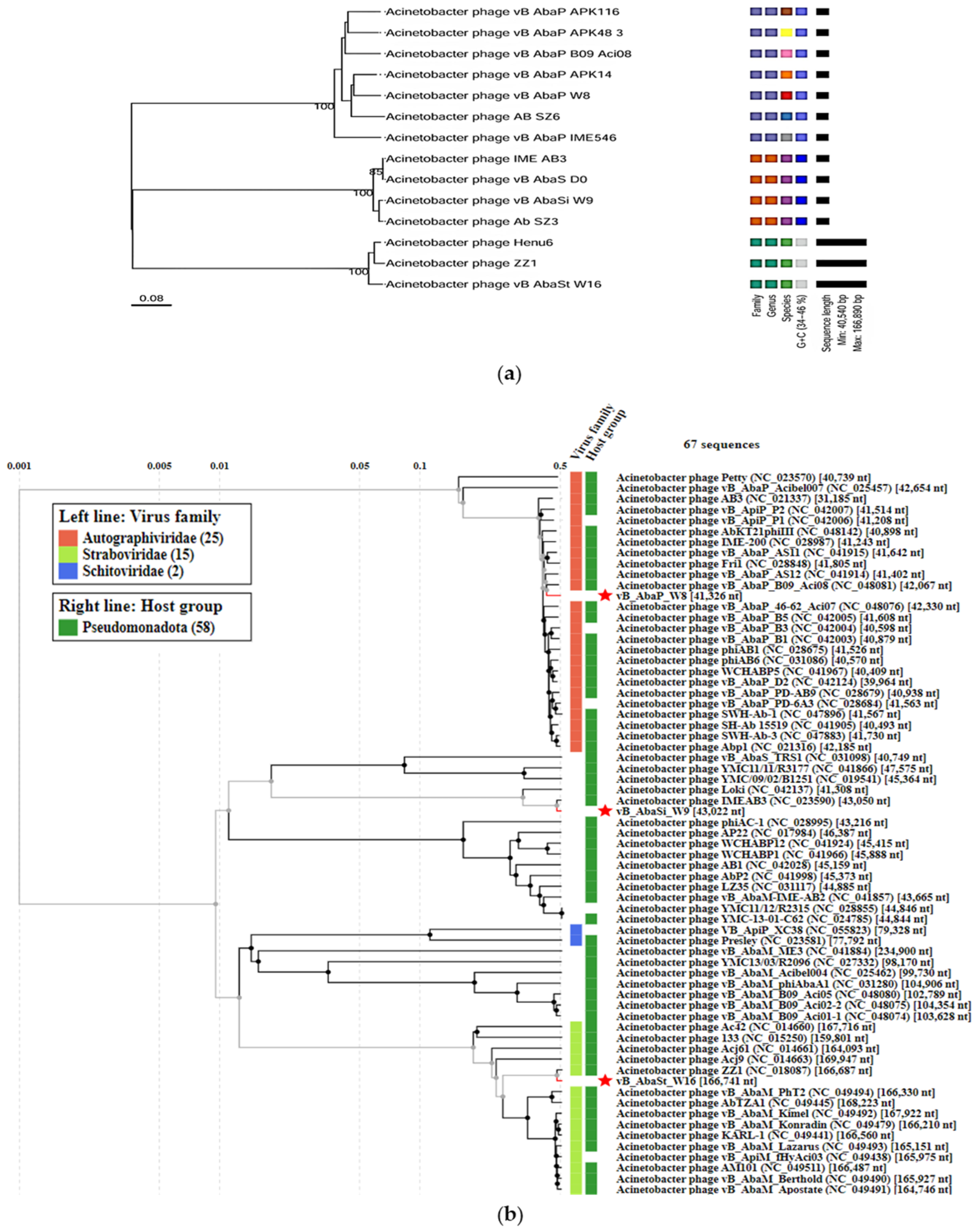 Antibiotics 13 00610 g003