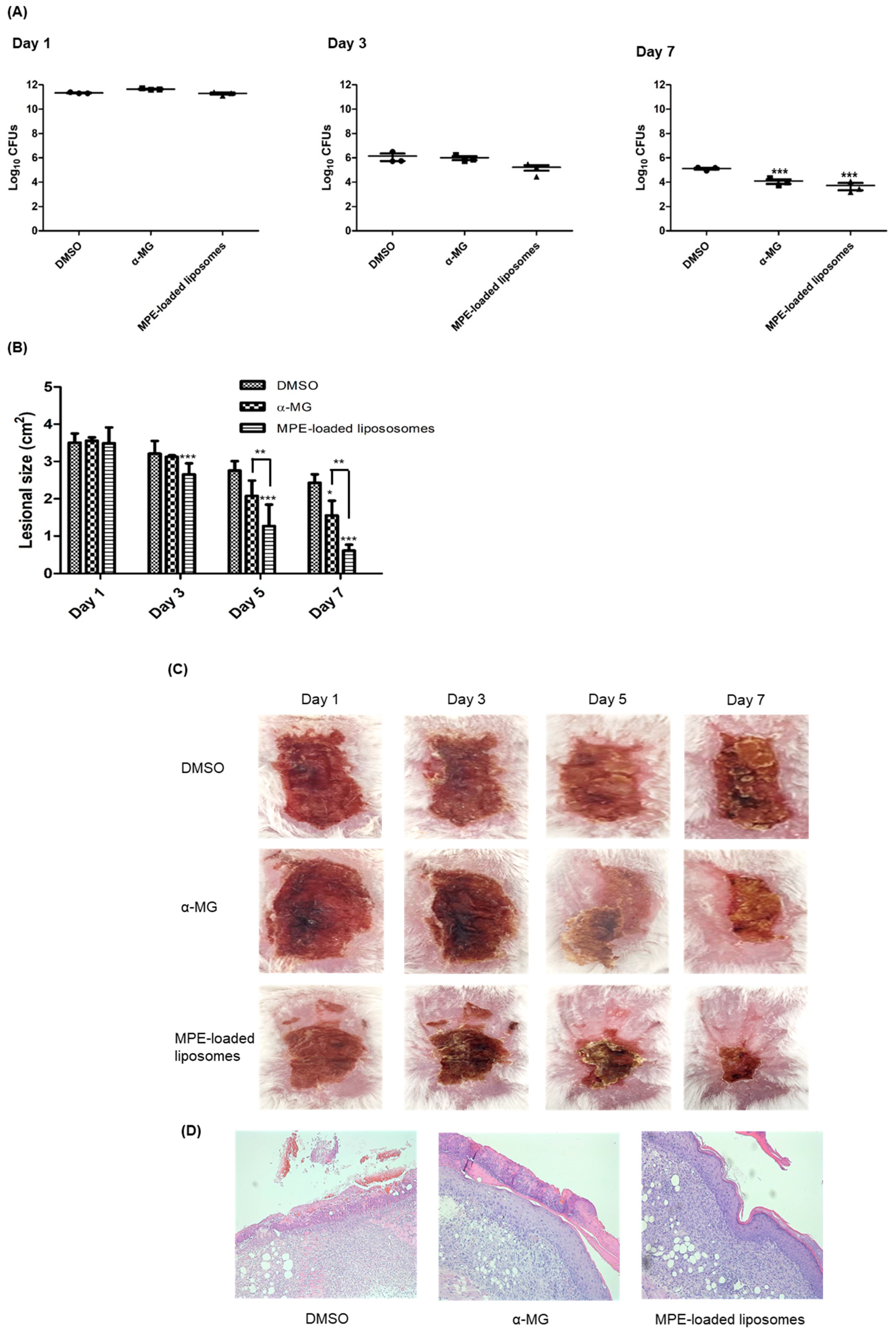Antibiotics 13 00612 g003