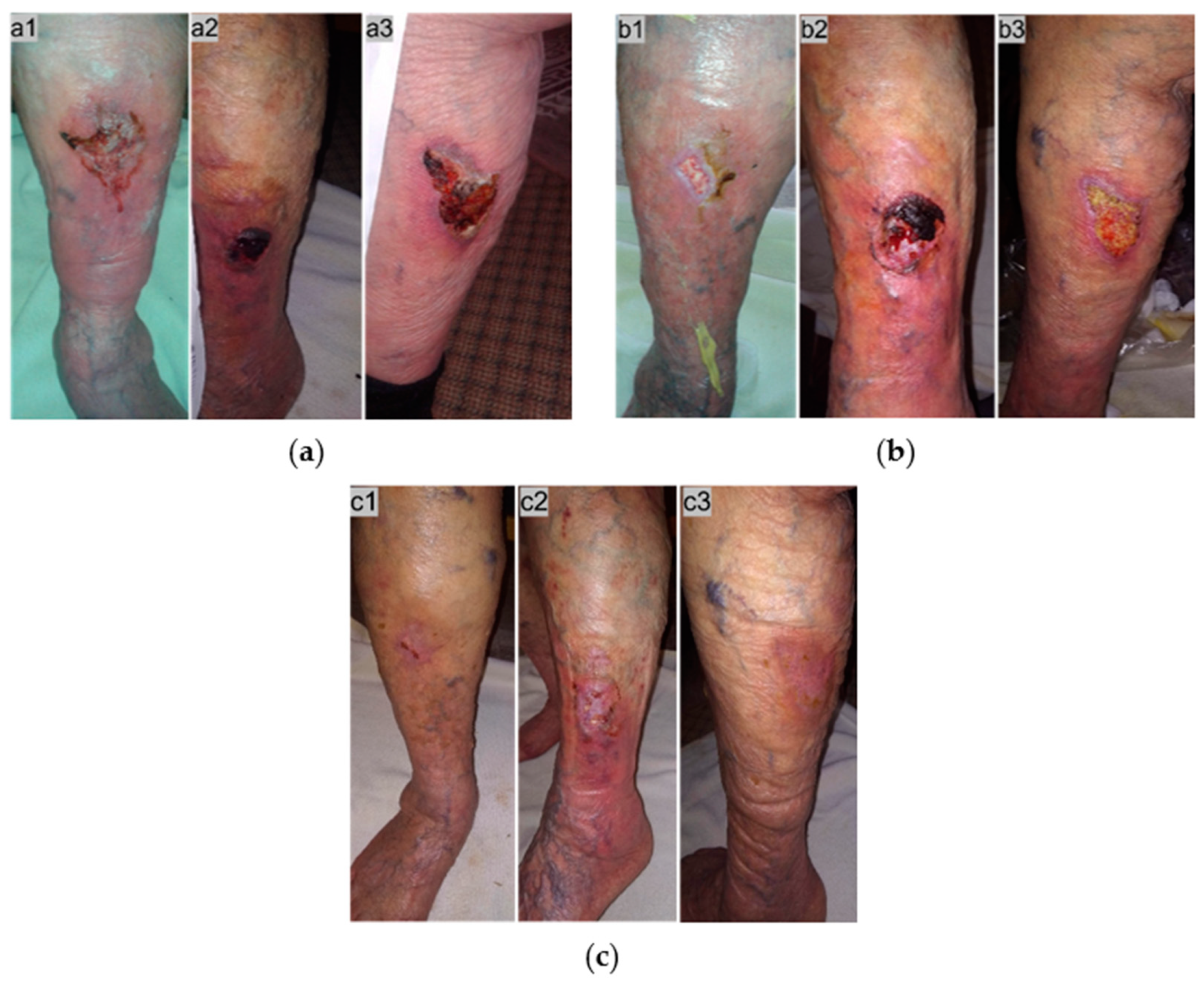 Antibiotics 13 00614 g003