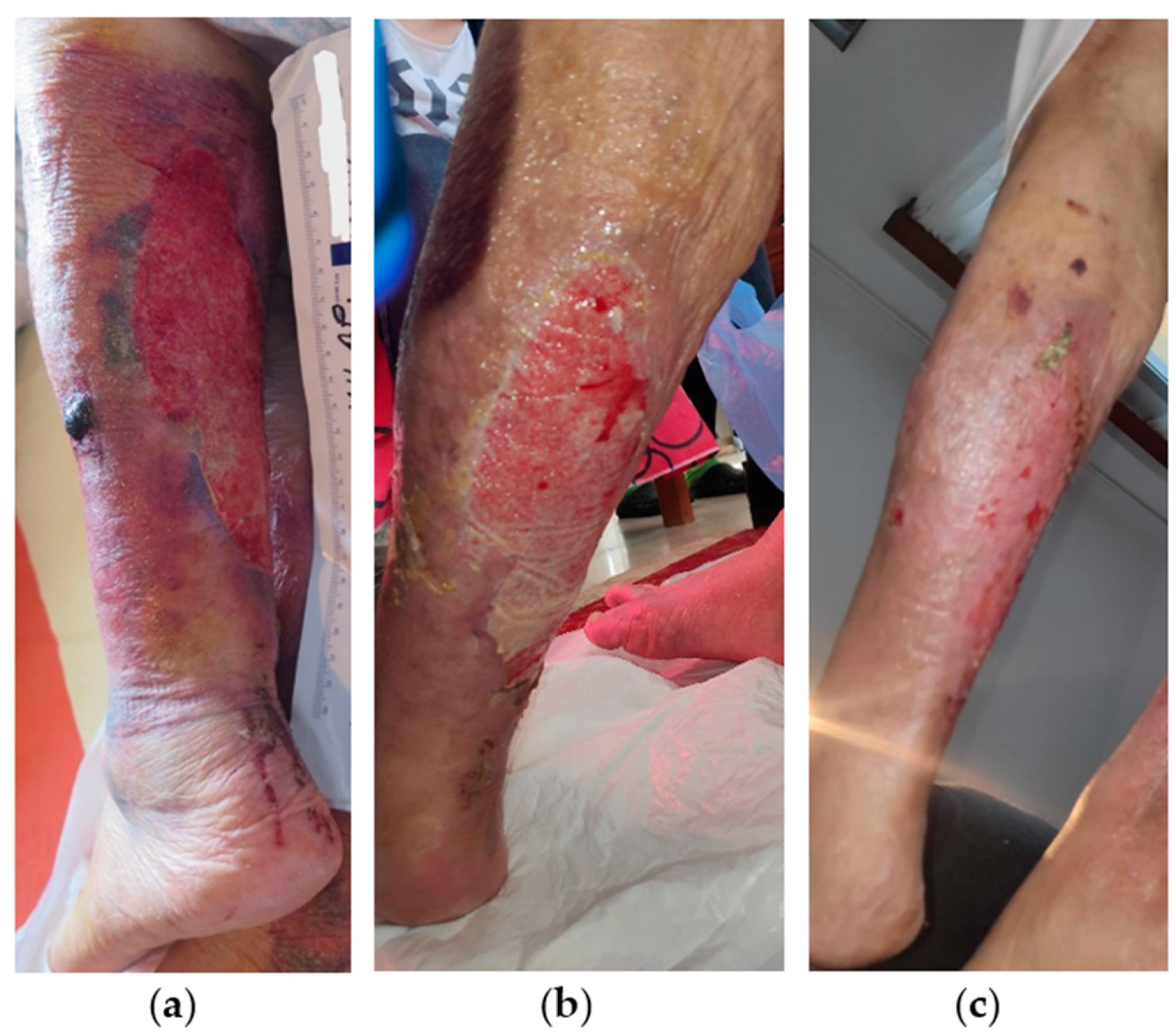 Antibiotics 13 00614 g007