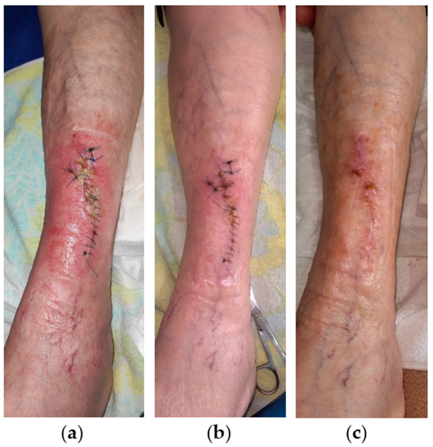 Antibiotics 13 00614 g008