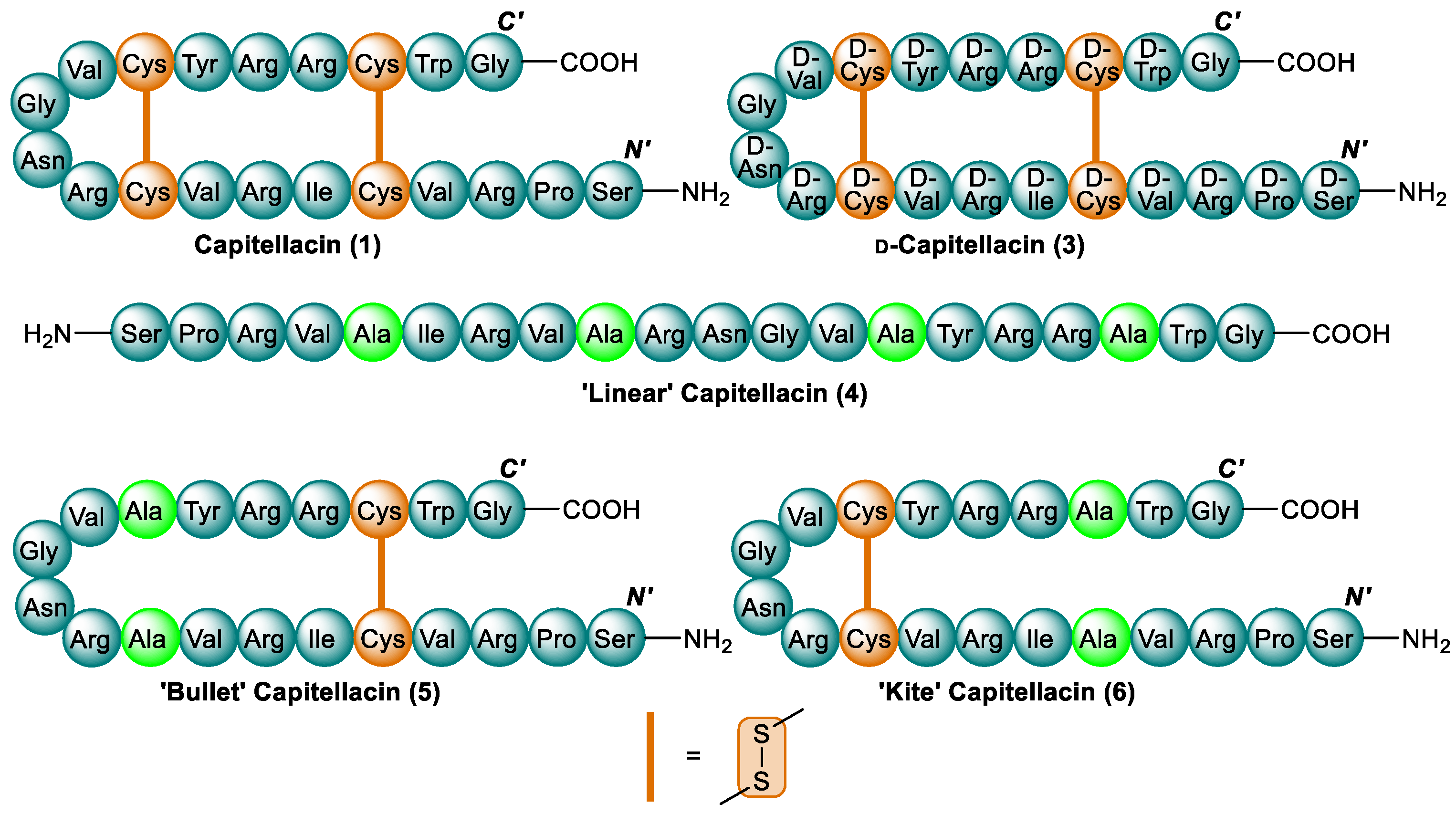 Antibiotics 13 00615 g003
