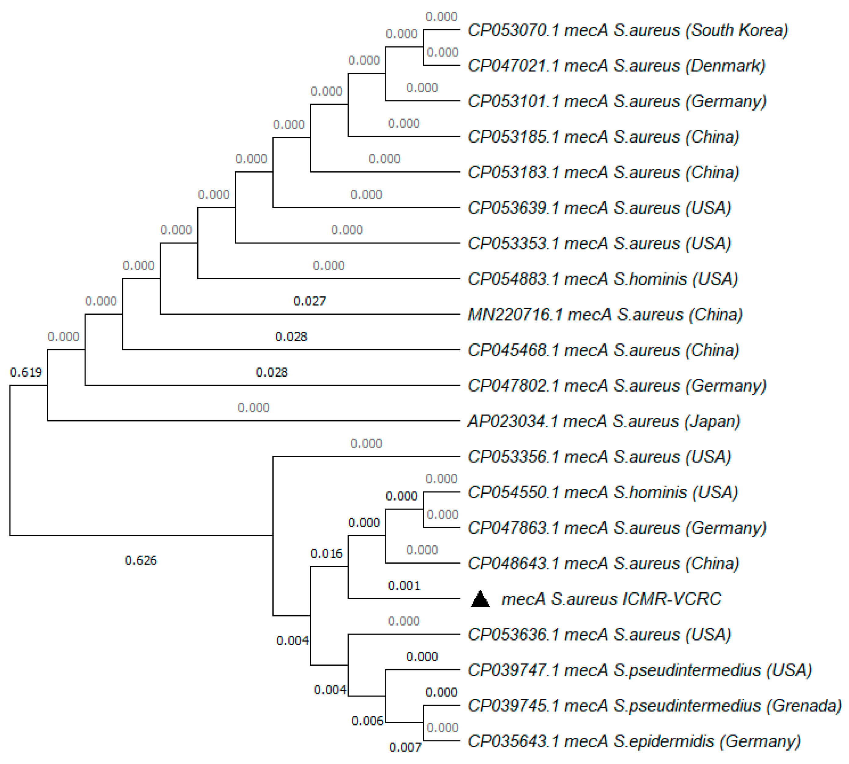 Antibiotics 13 00618 g003