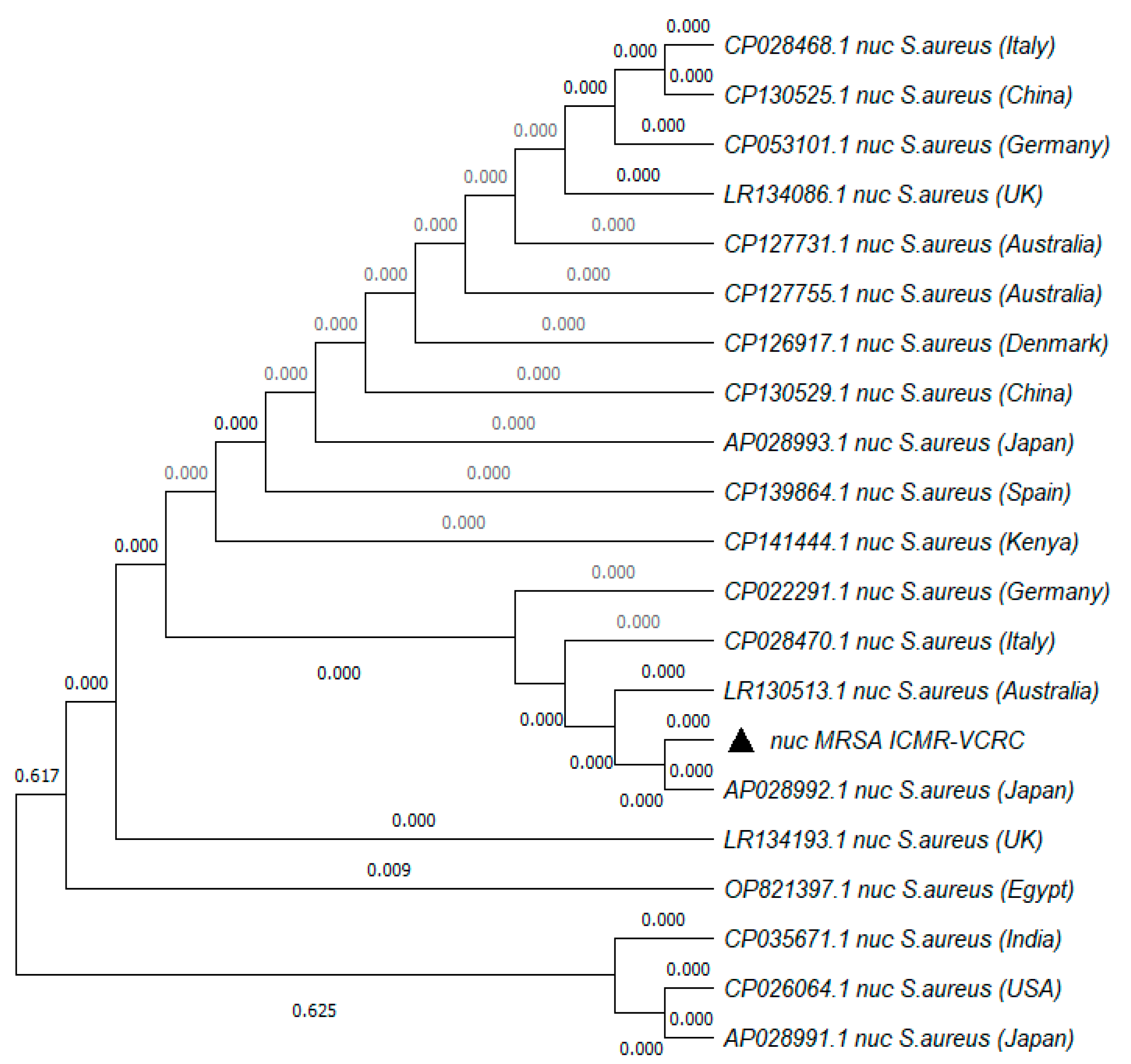 Antibiotics 13 00618 g004