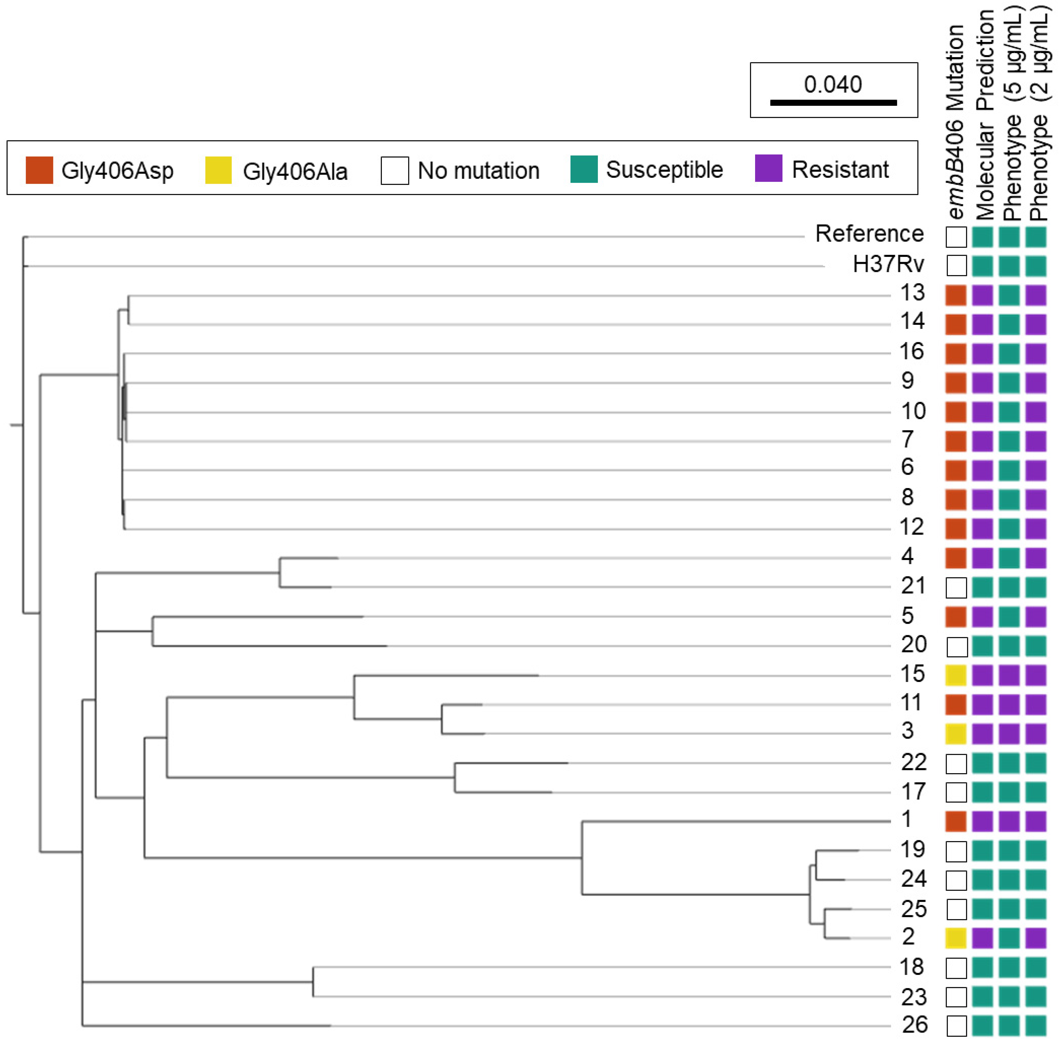 Antibiotics 13 00624 g001