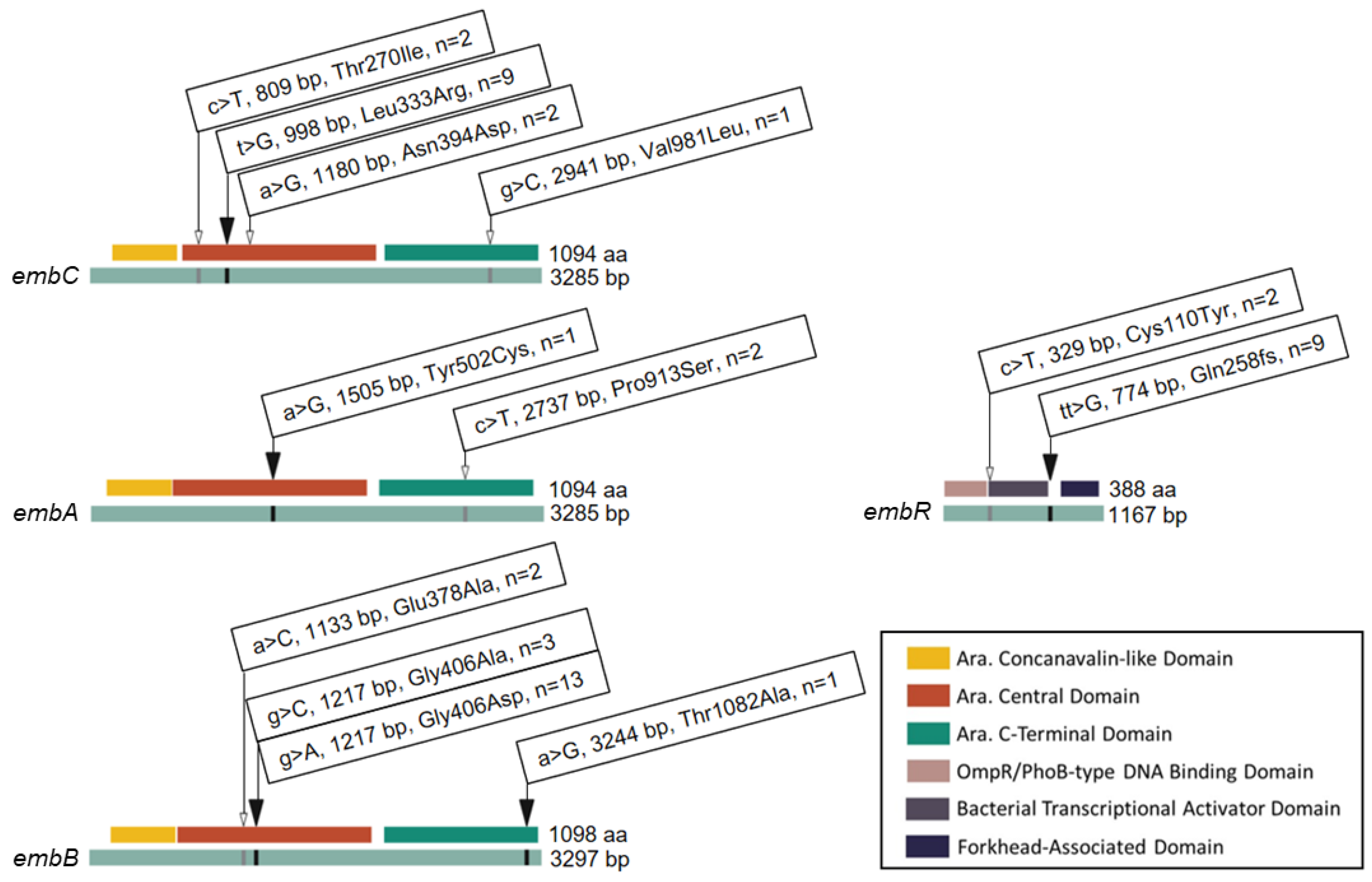 Antibiotics 13 00624 g002