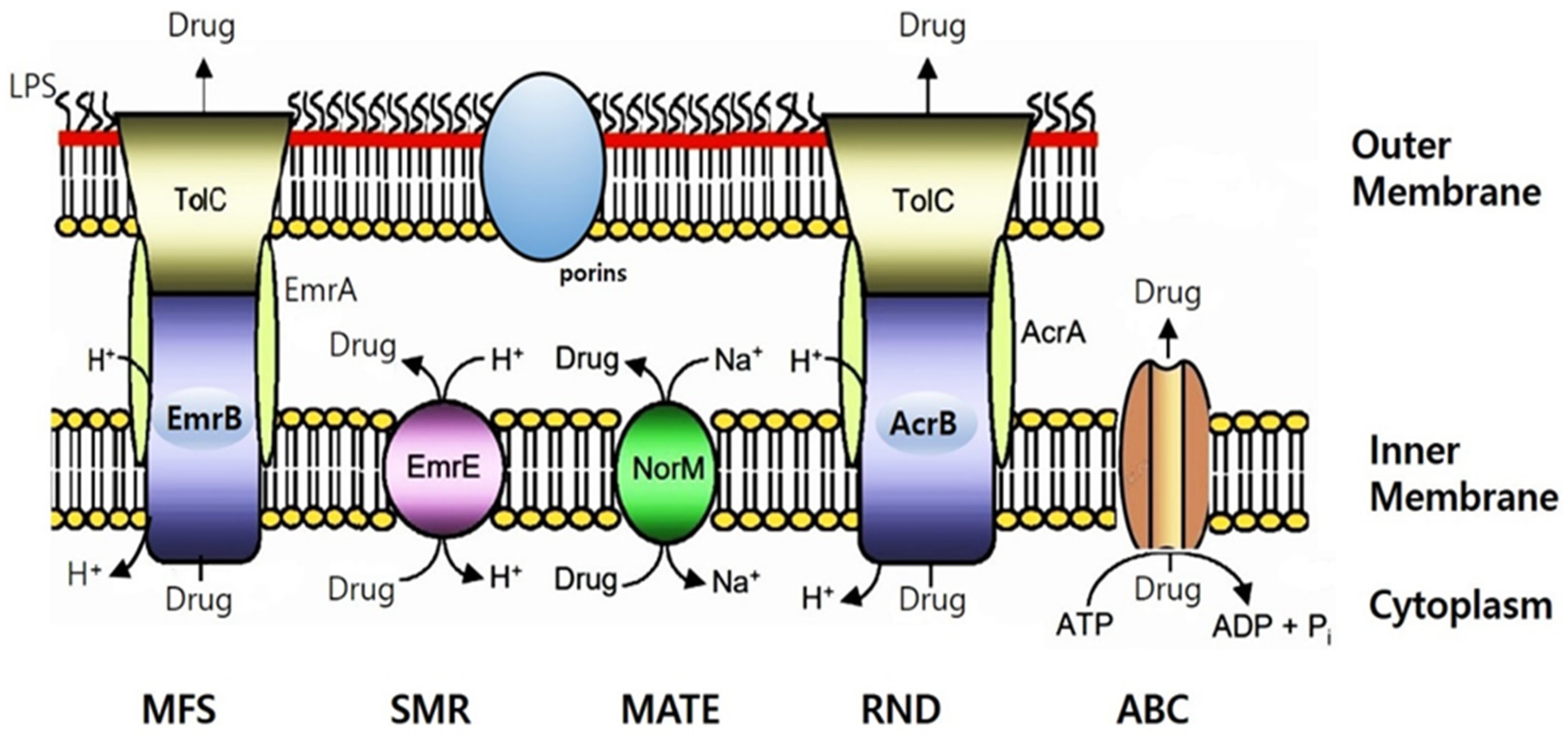 Antibiotics 13 00626 g002