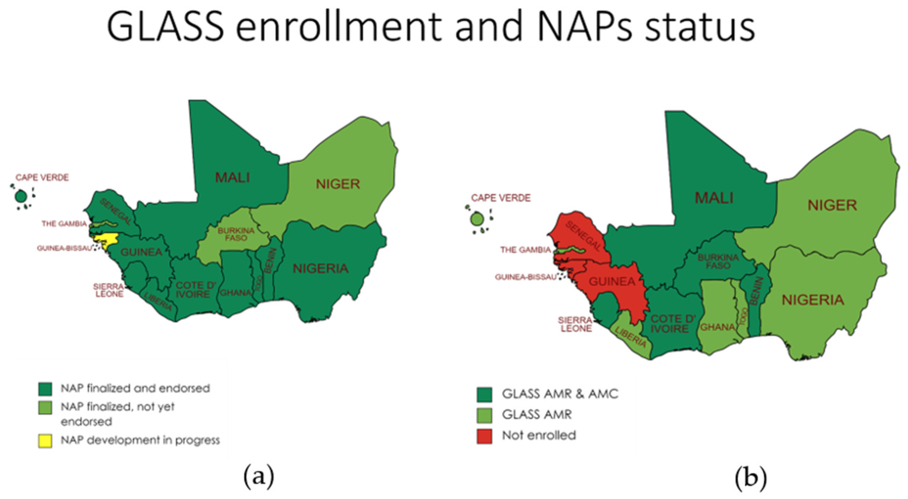 Antibiotics 13 00627 g001