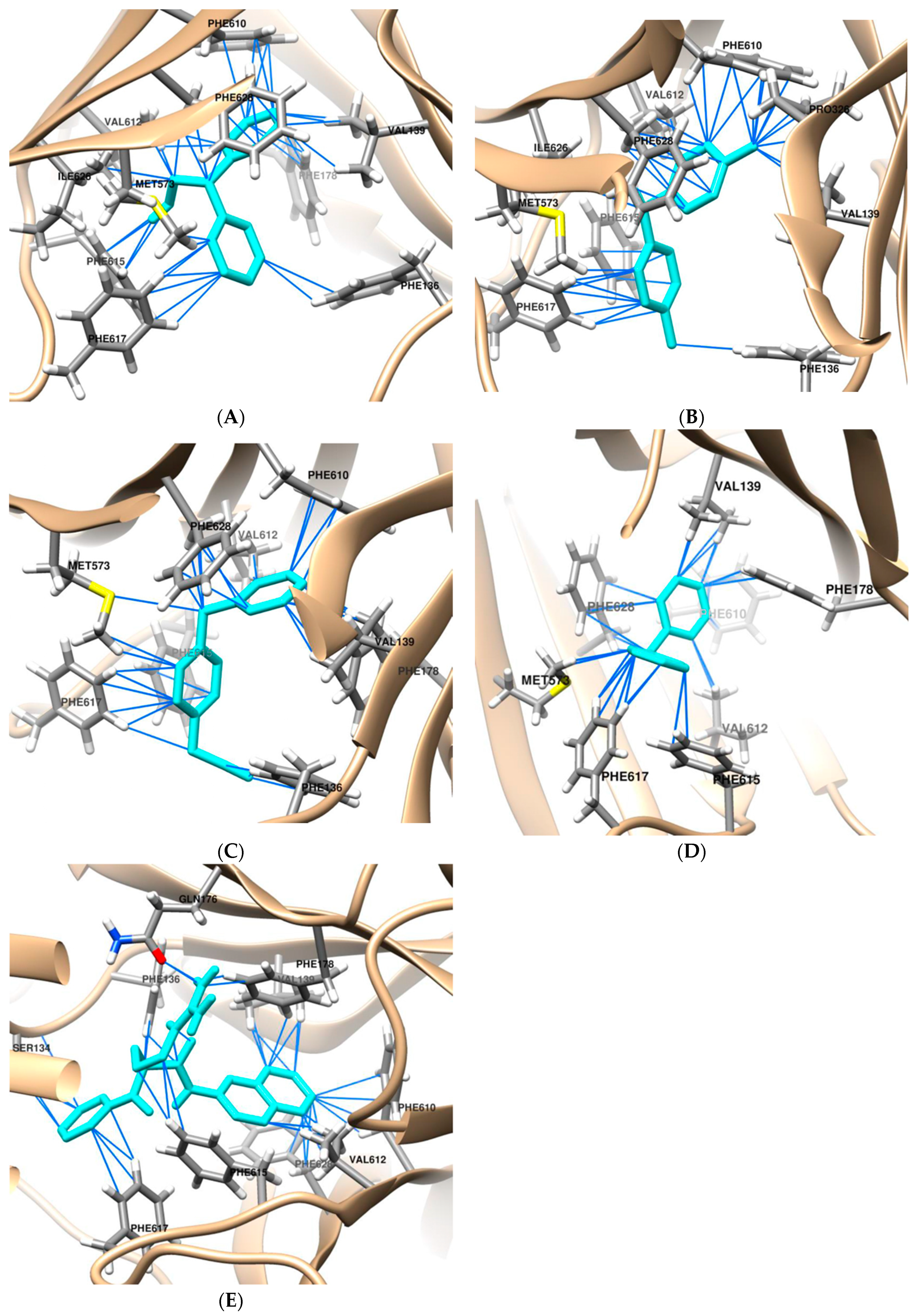 Antibiotics 13 00628 g001