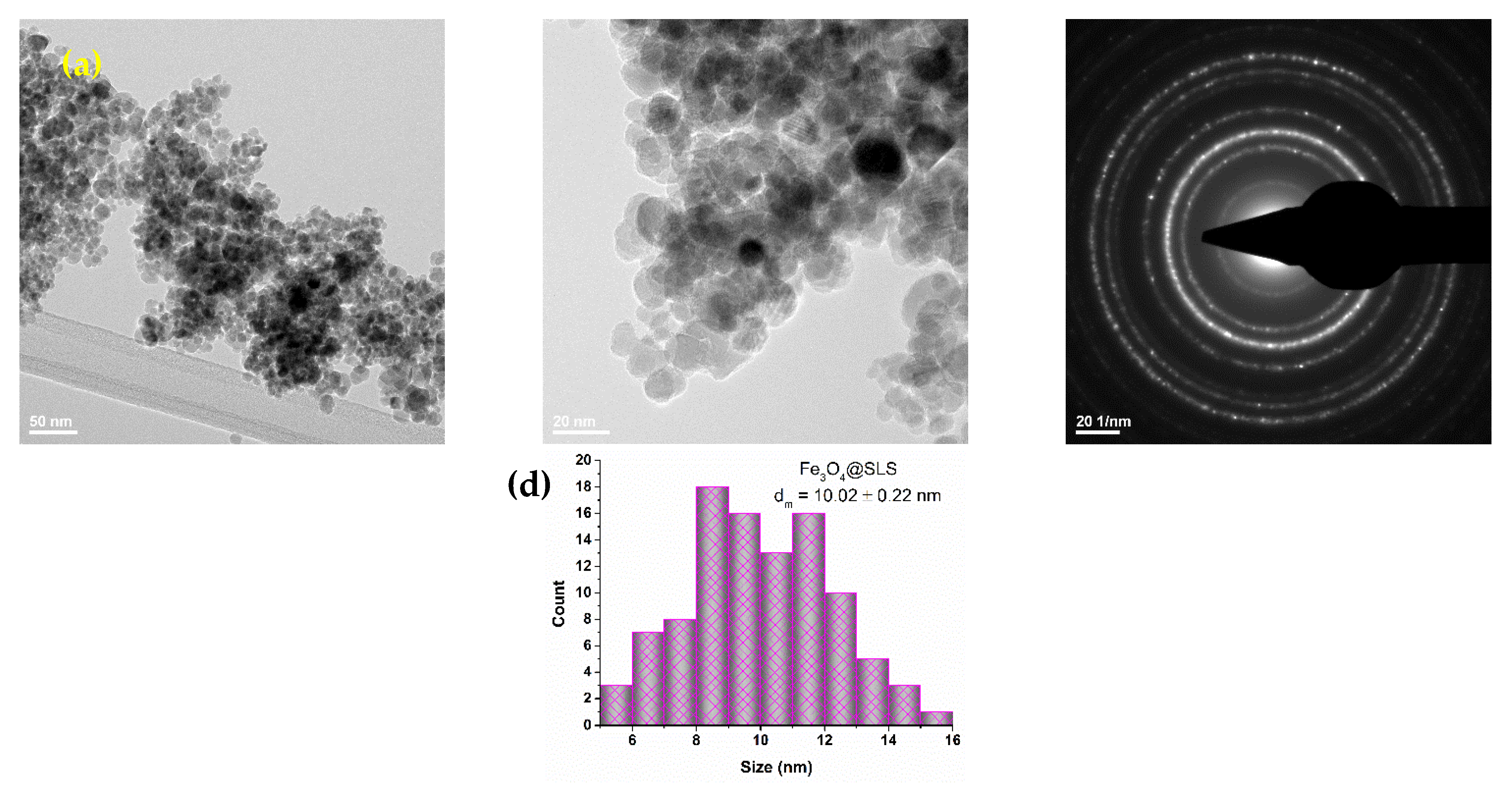 Antibiotics 13 00631 g003