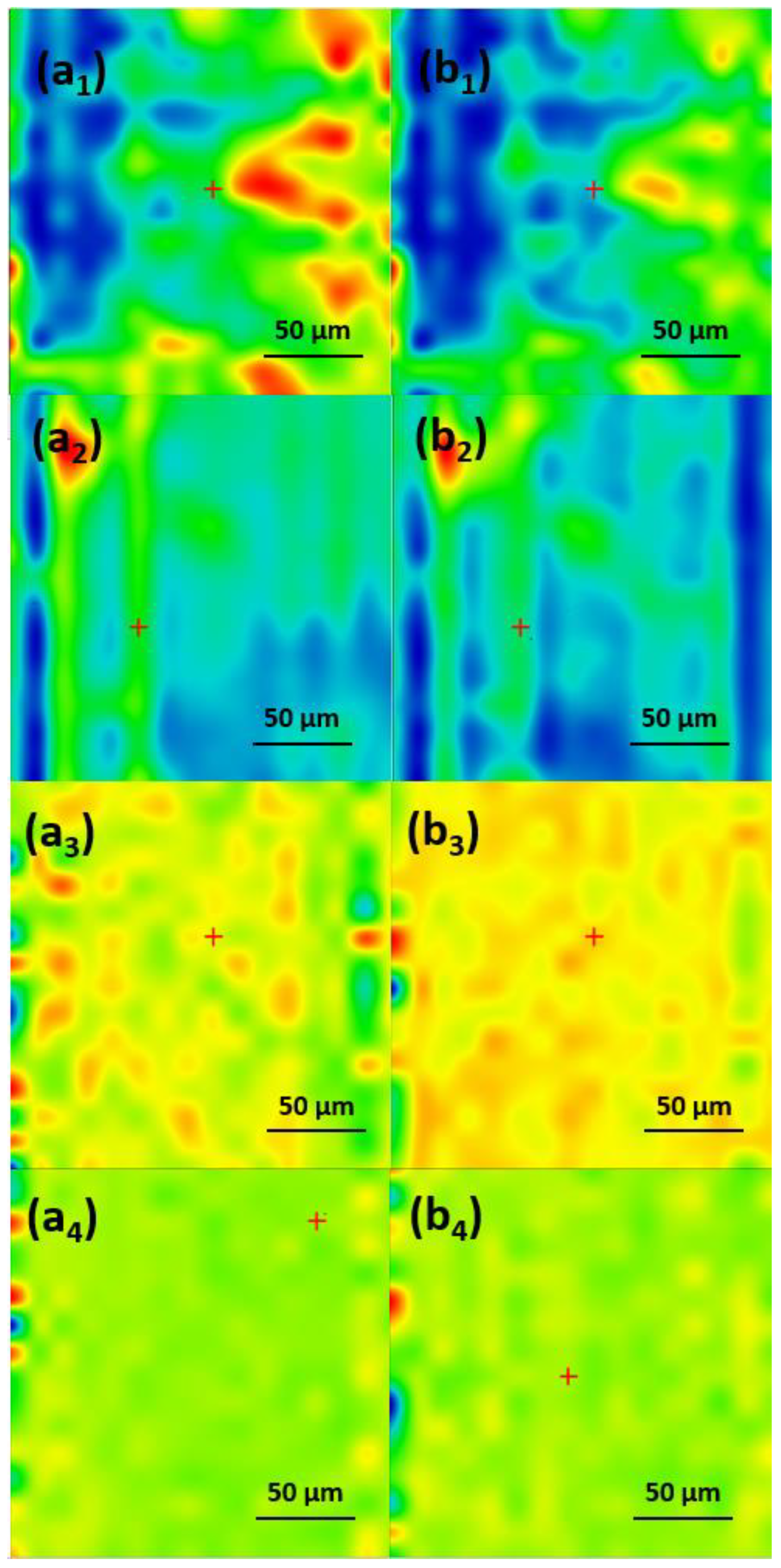 Antibiotics 13 00631 g008