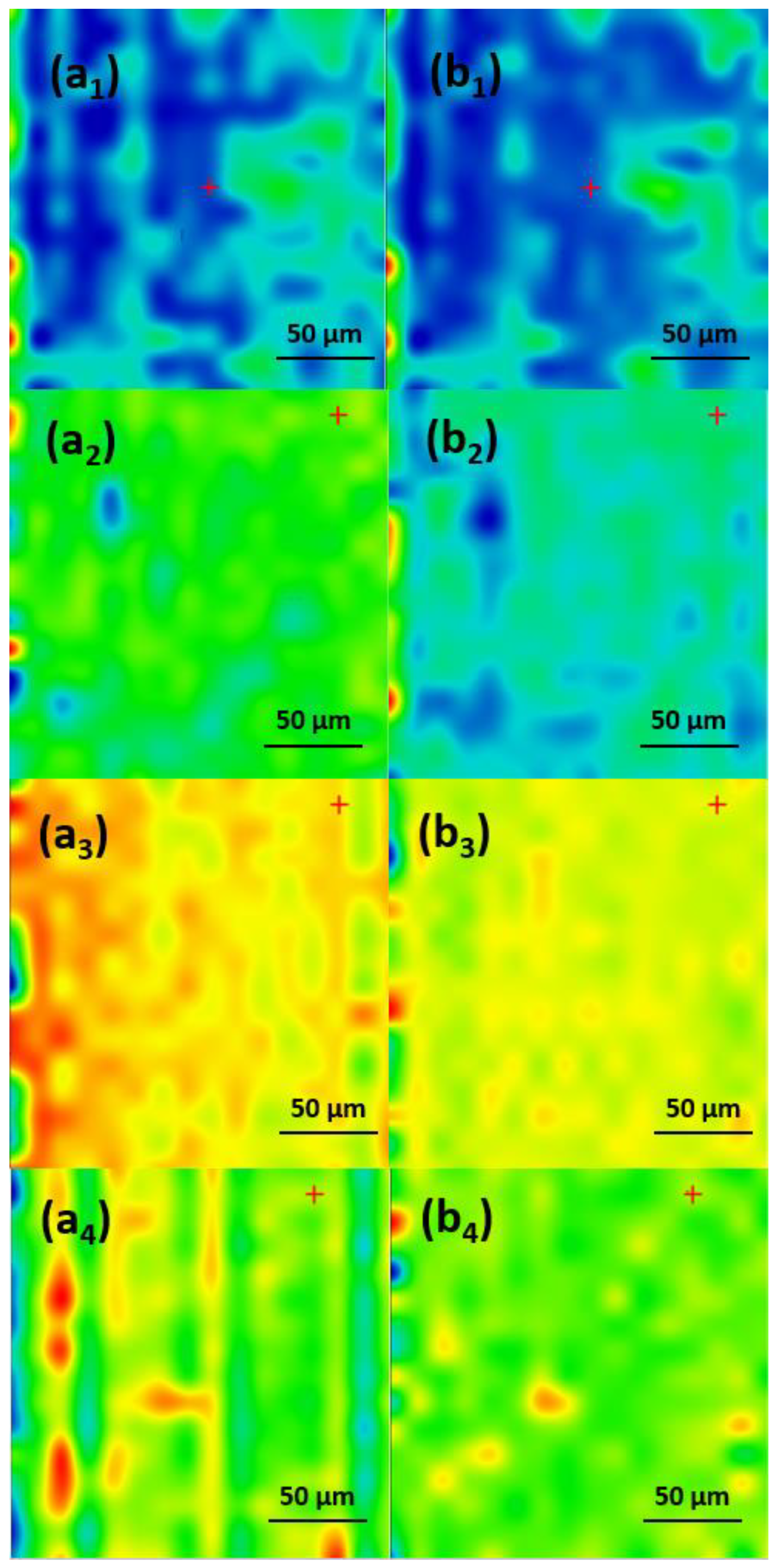 Antibiotics 13 00631 g009
