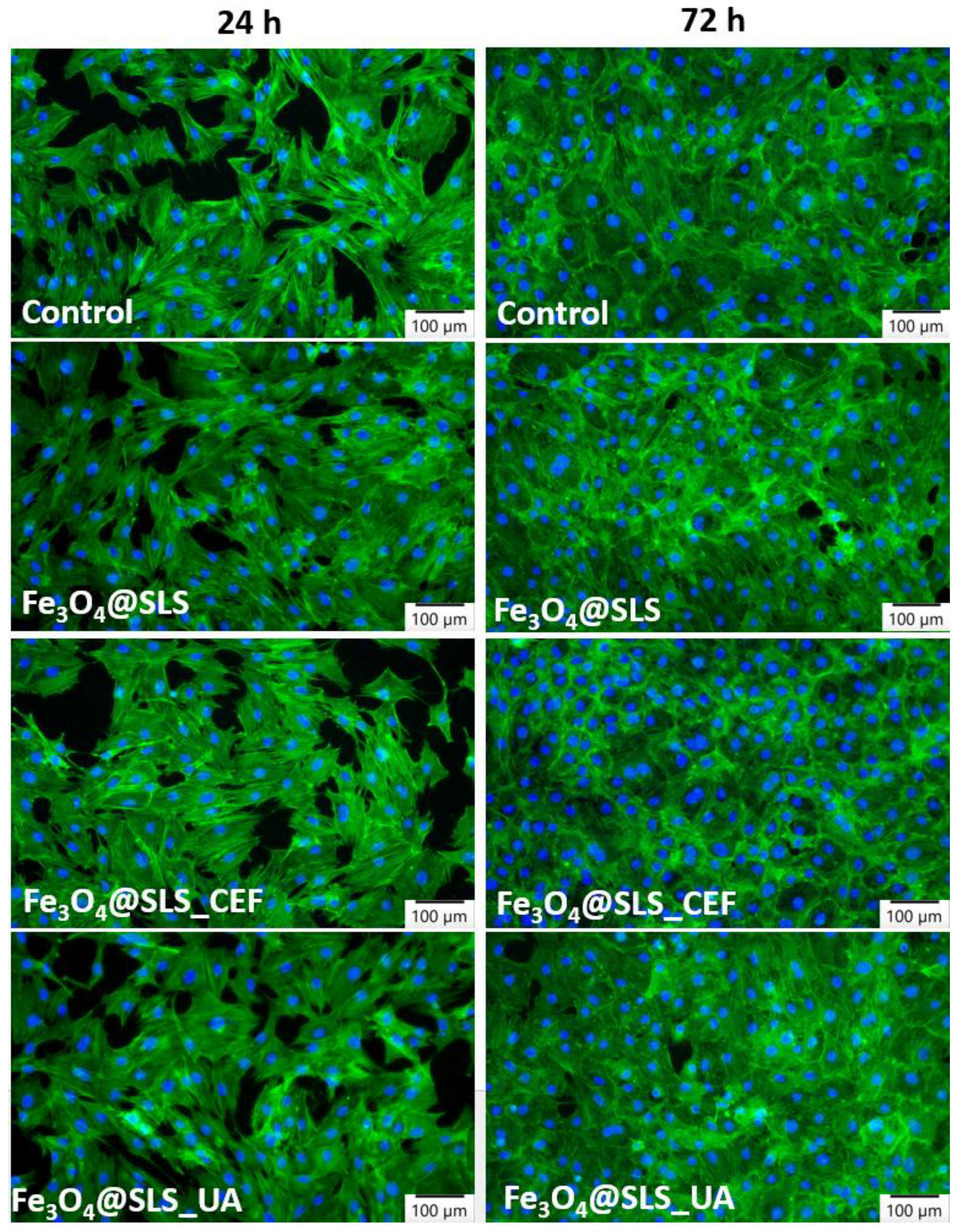 Antibiotics 13 00631 g013