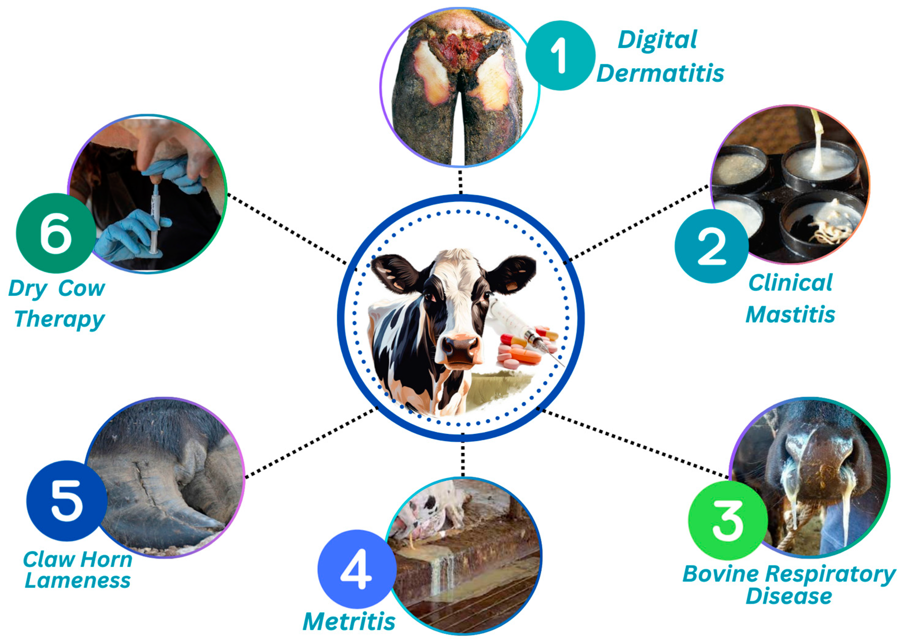 Antibiotics 13 00634 g001