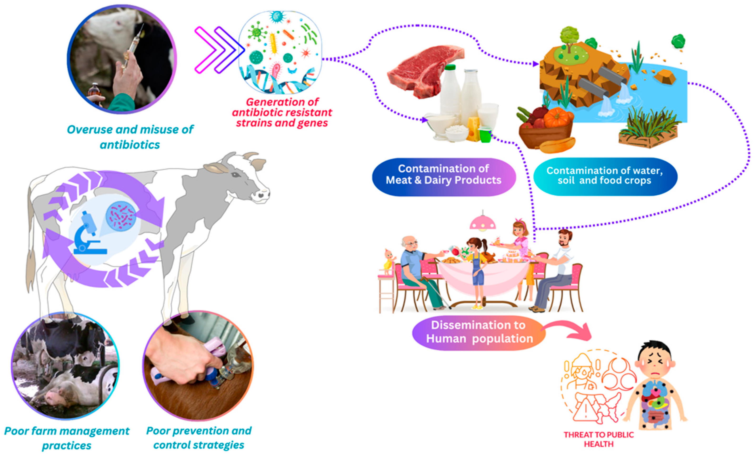 Antibiotics 13 00634 g002