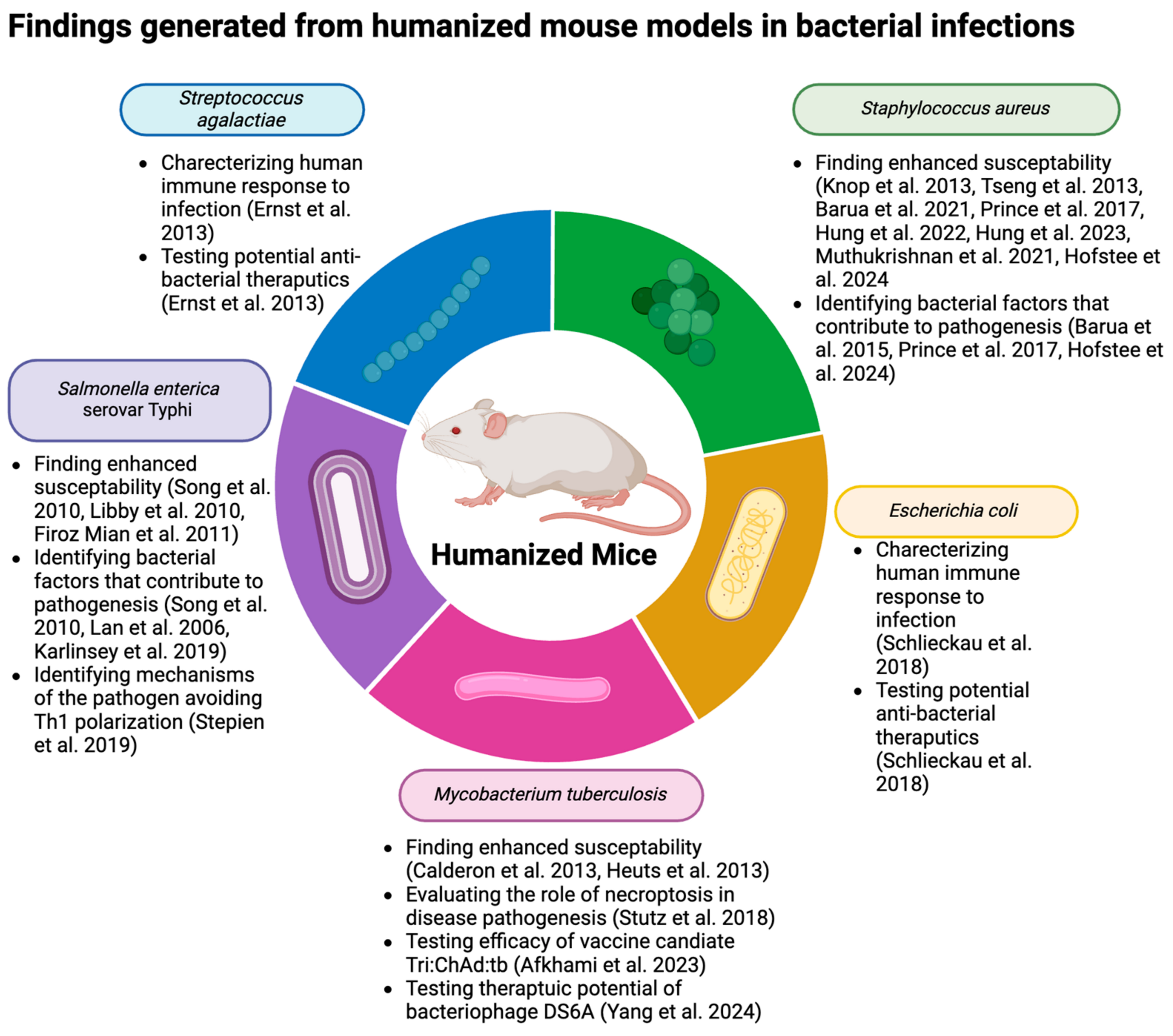 Antibiotics 13 00640 g002