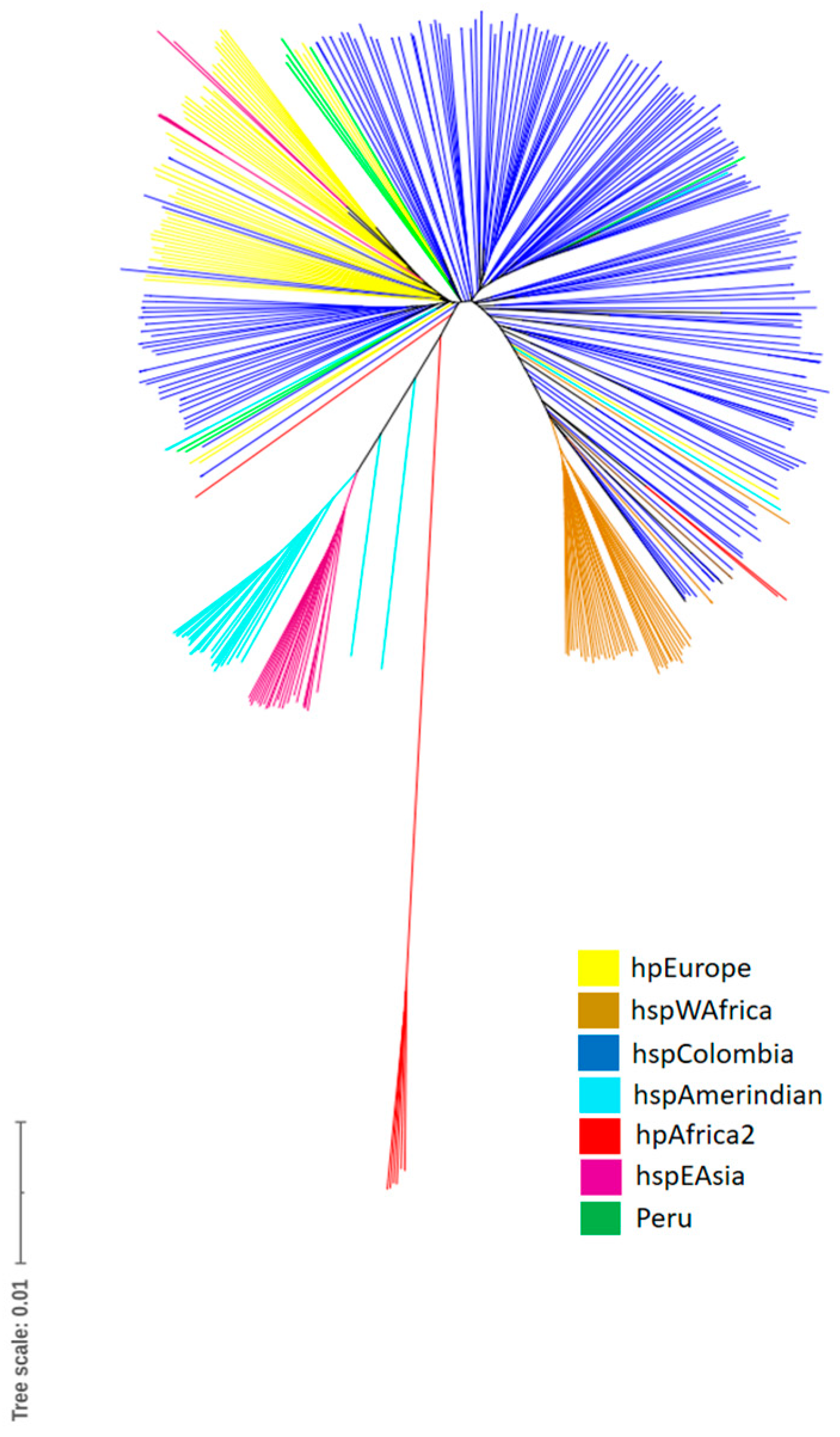 Antibiotics 13 00643 g001
