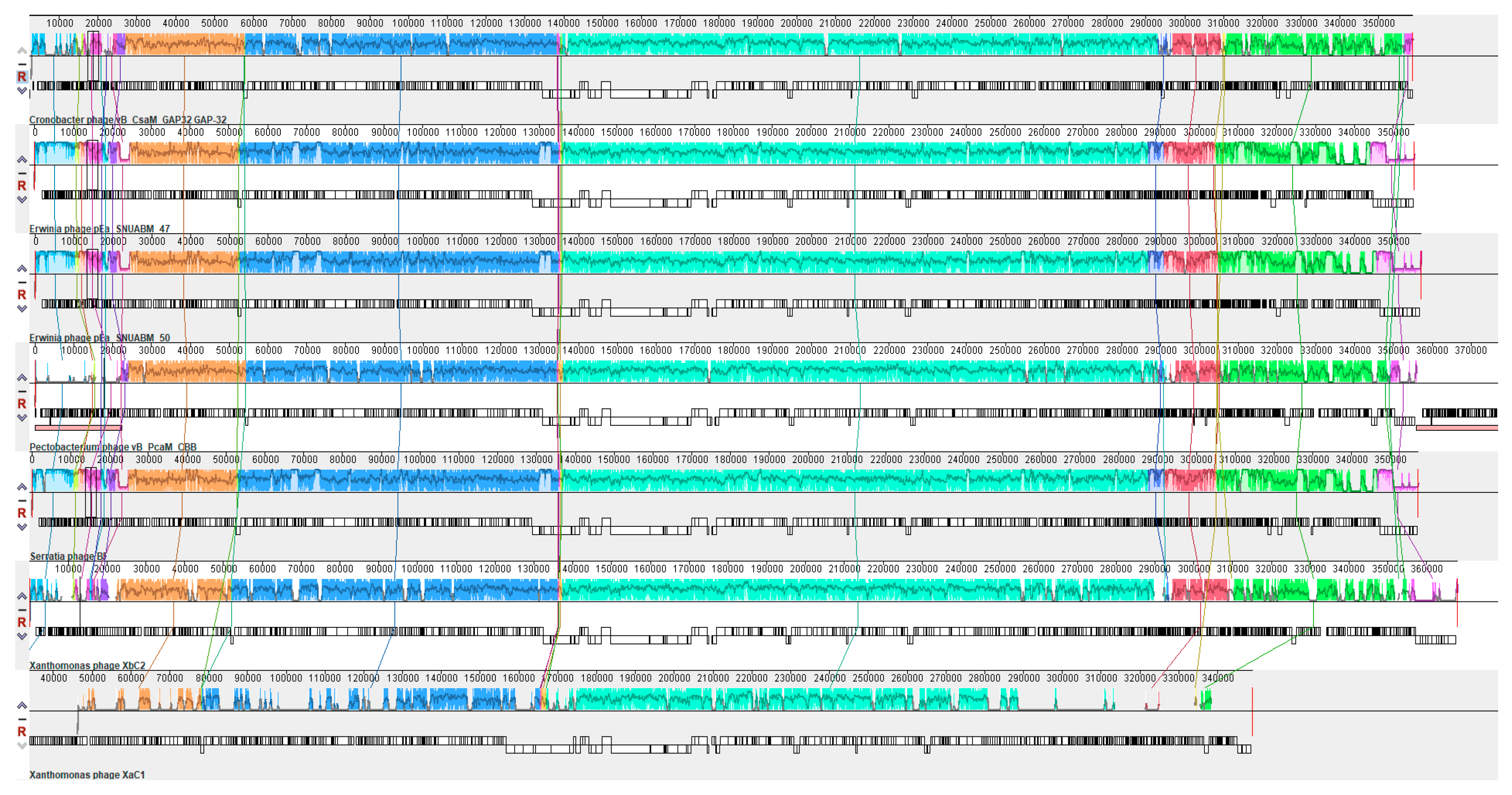 Antibiotics 13 00651 g005