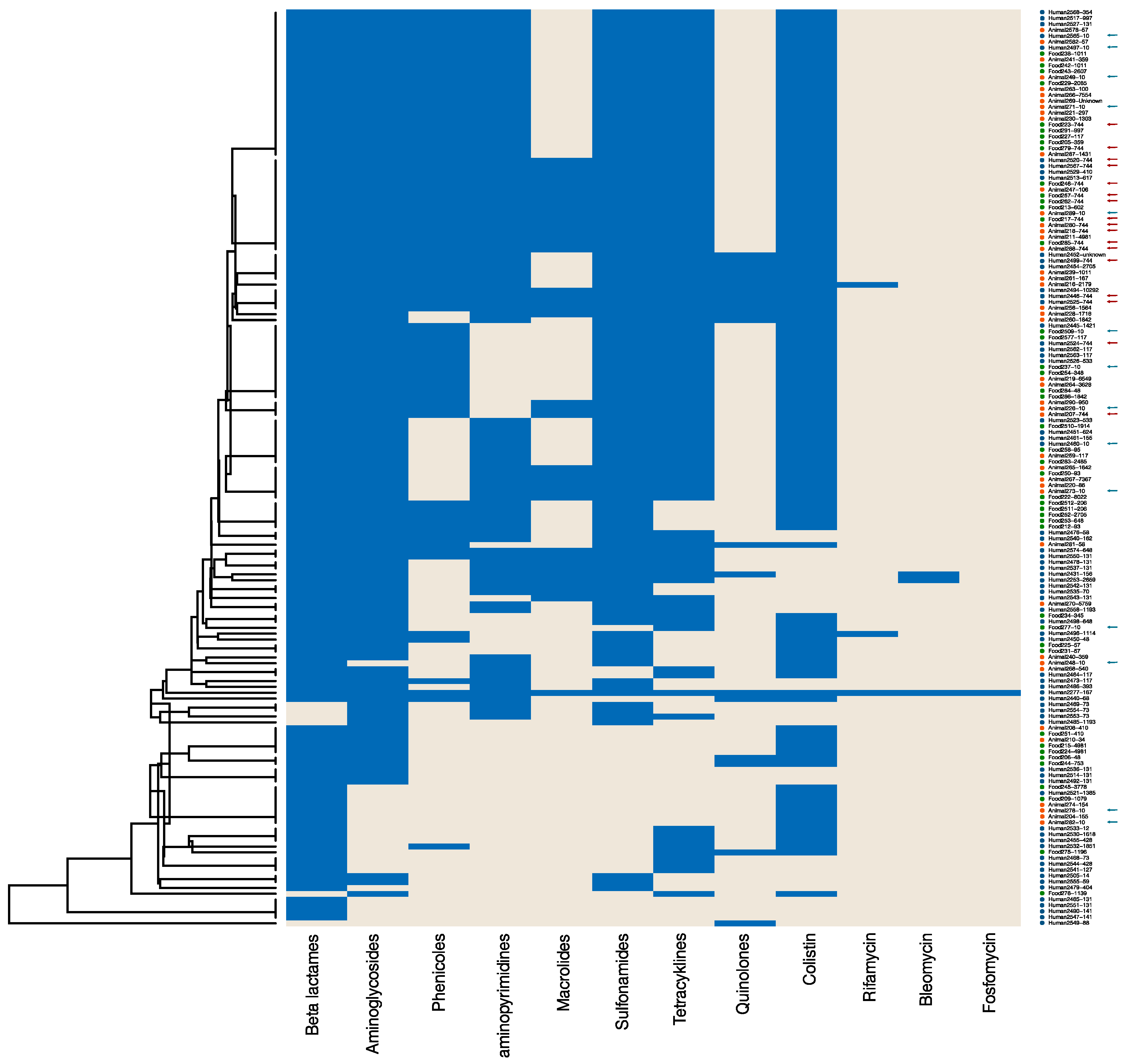 Antibiotics 13 00656 g001