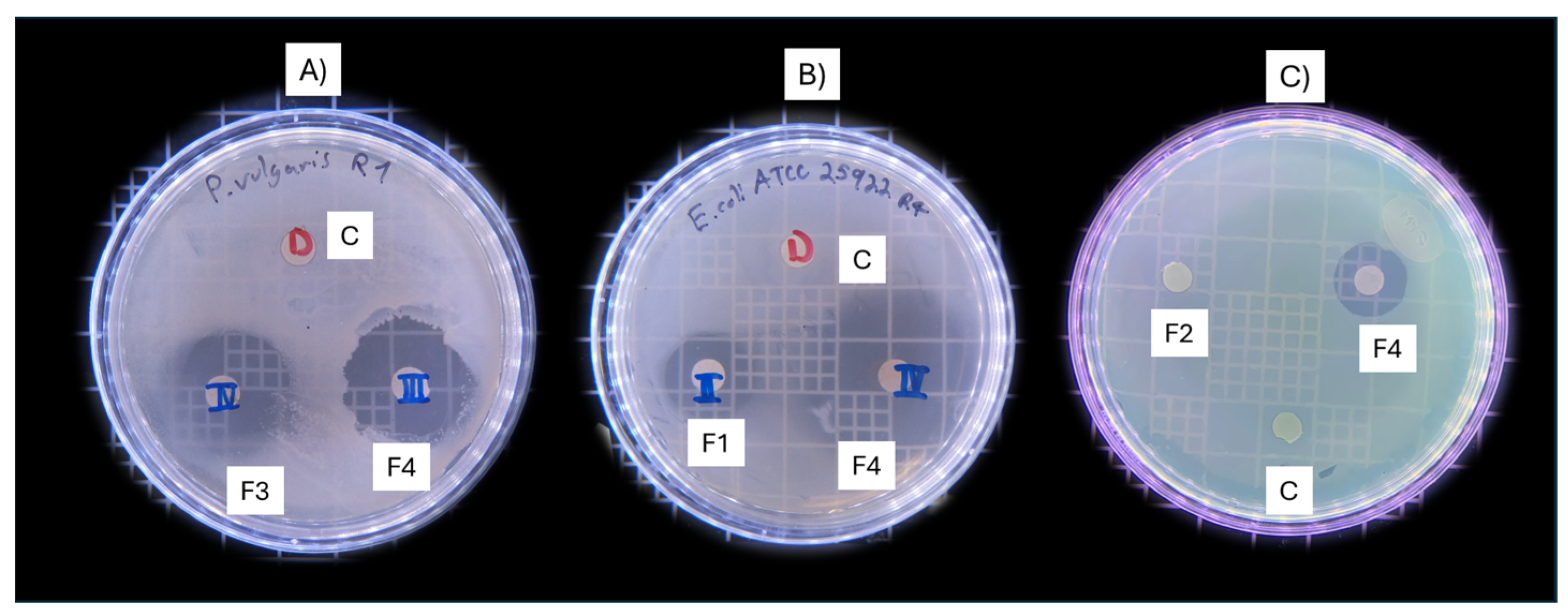 Antibiotics 13 00665 g002