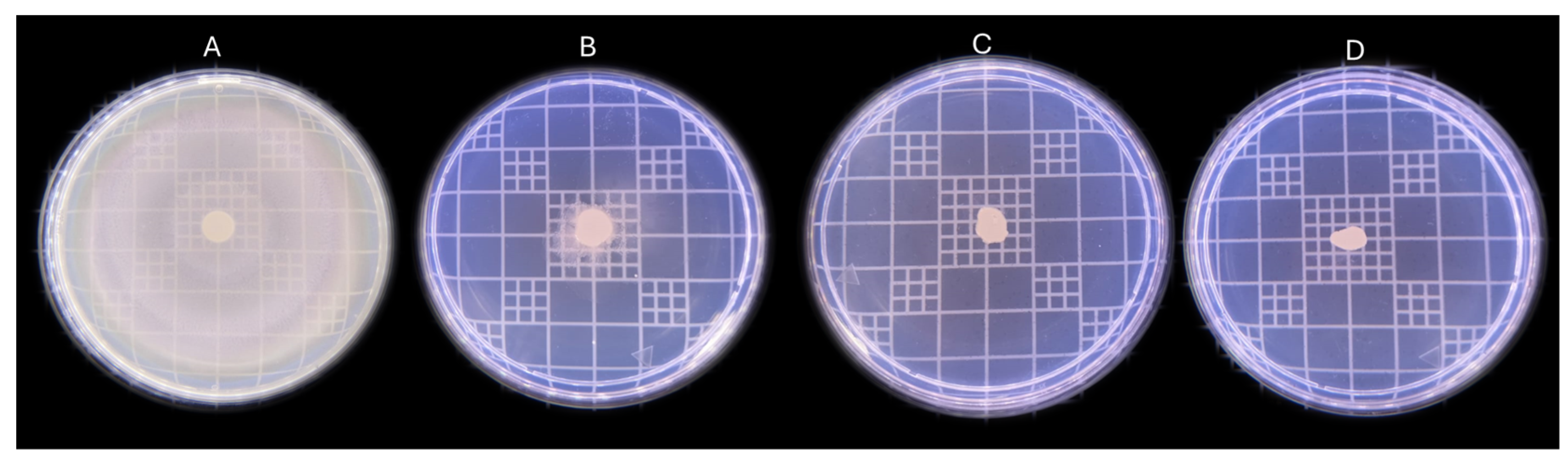 Antibiotics 13 00665 g003