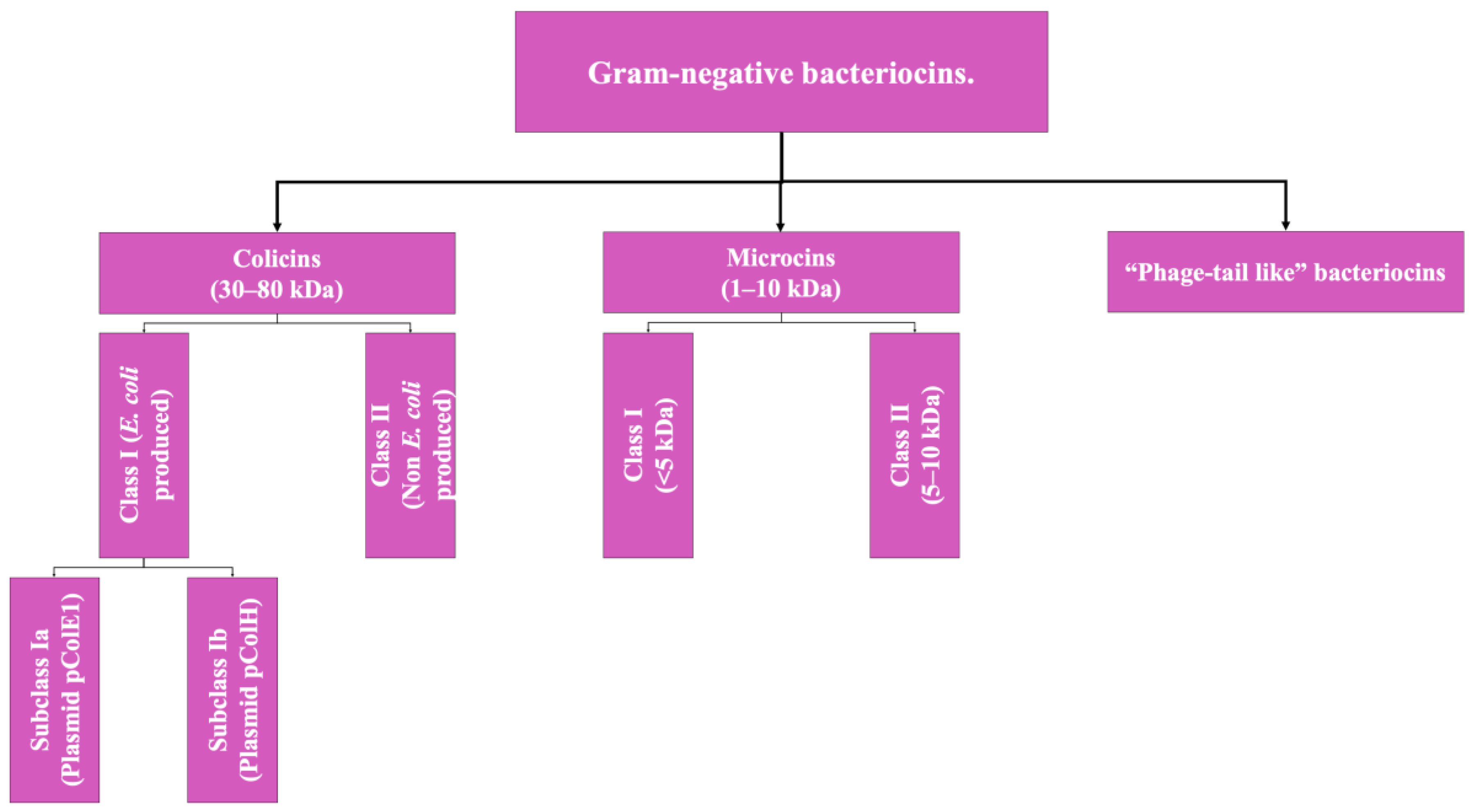 Antibiotics 13 00666 g002