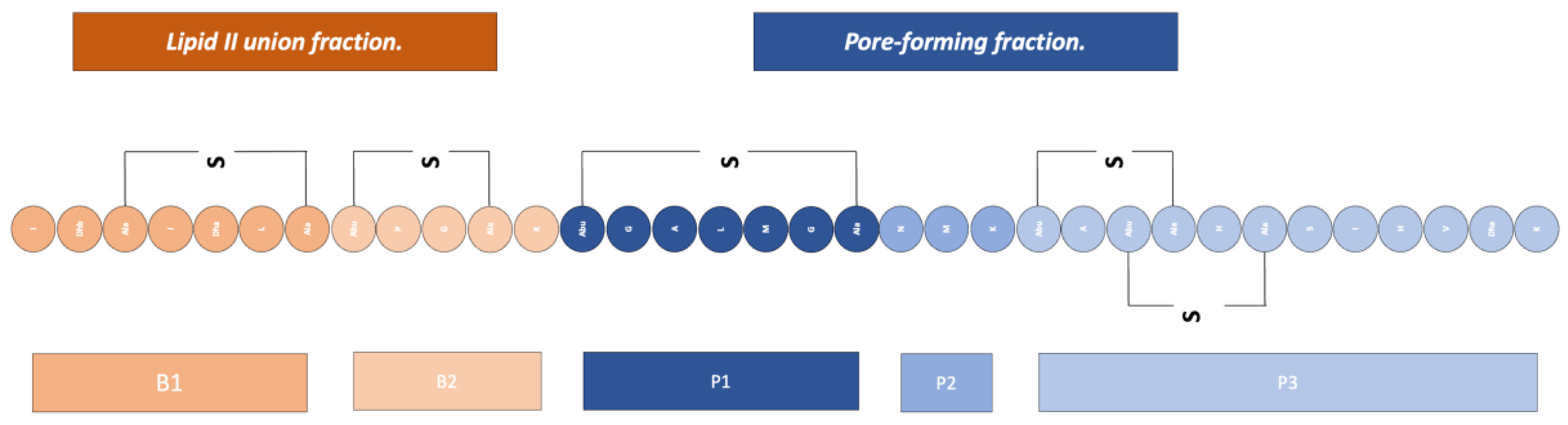 Antibiotics 13 00666 g007