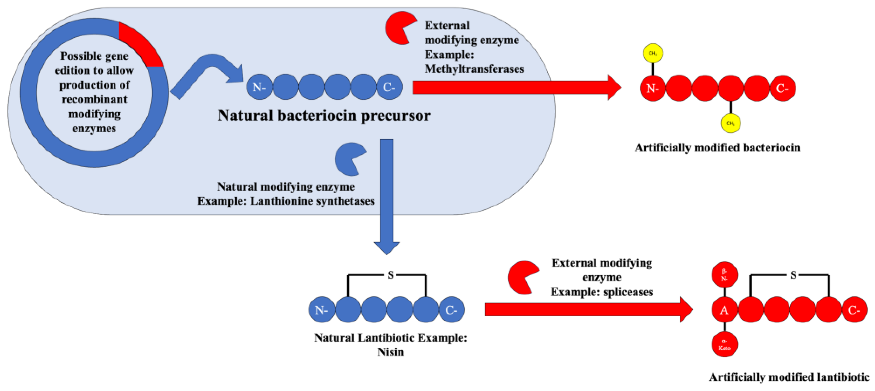 Antibiotics 13 00666 g009