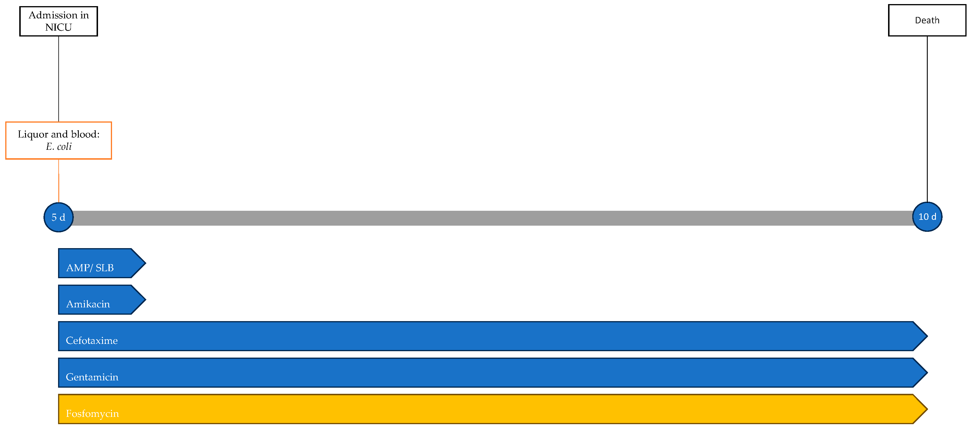 Antibiotics 13 00667 g007