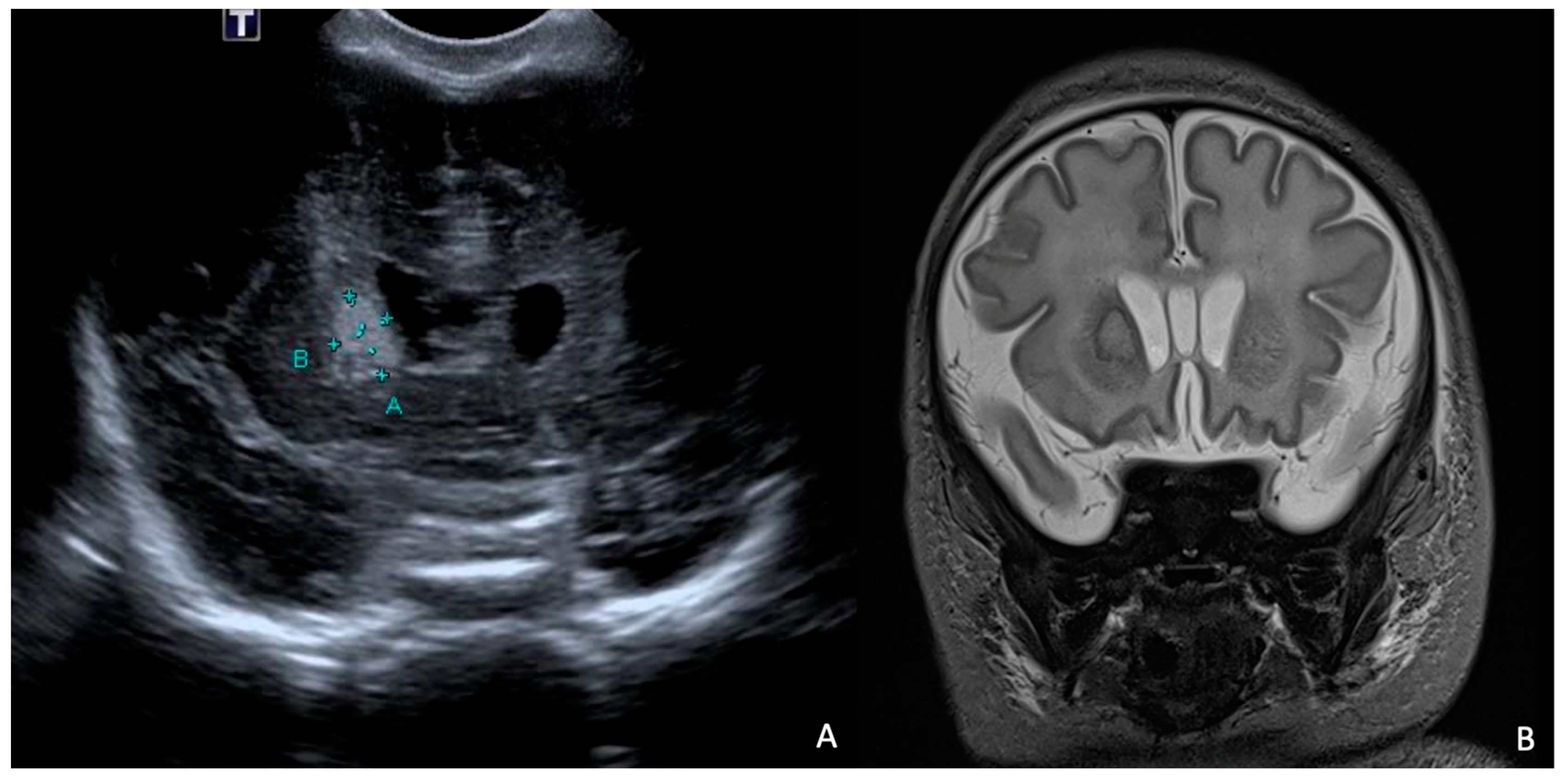 Antibiotics 13 00667 g008