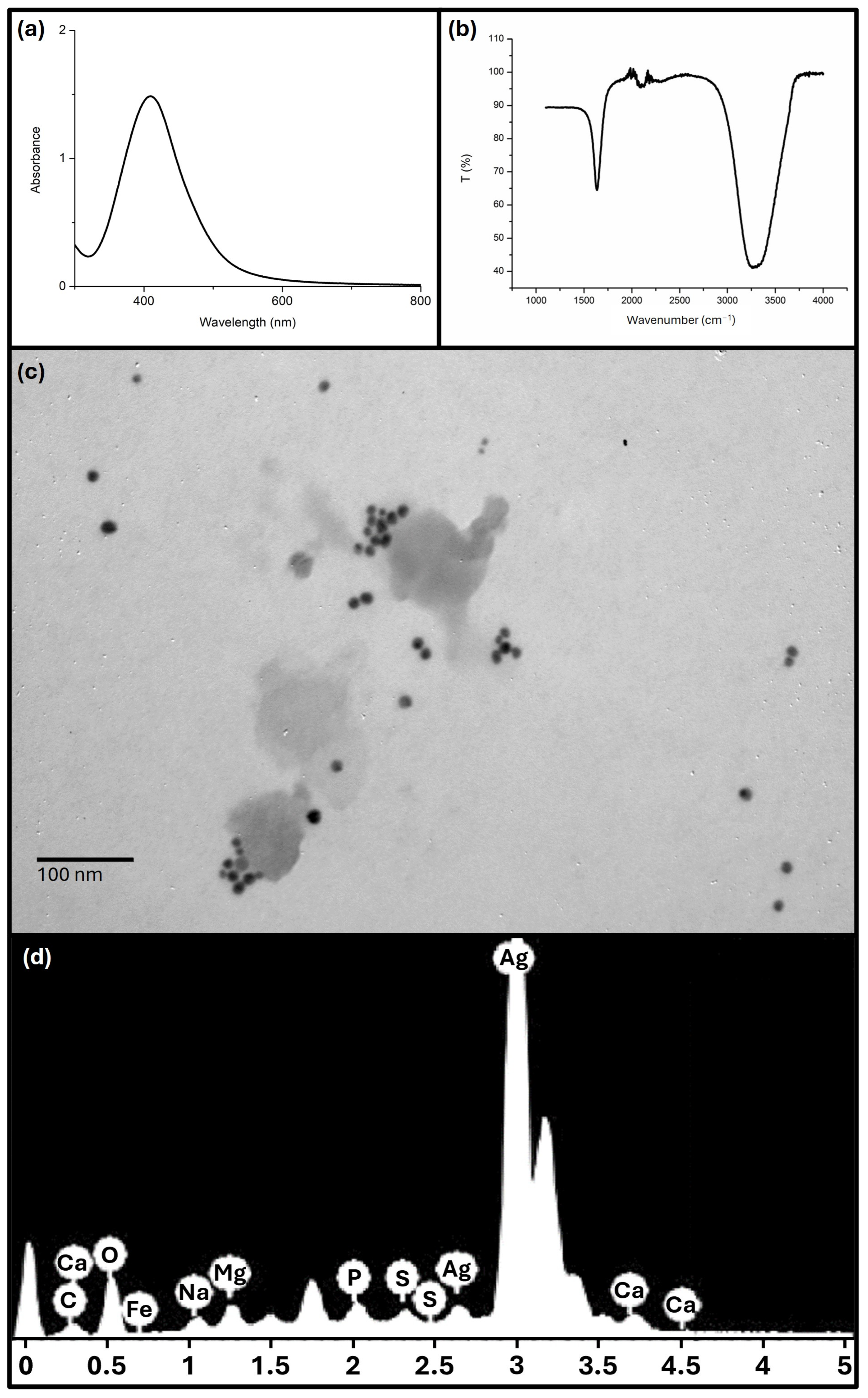 Antibiotics 13 00674 g001