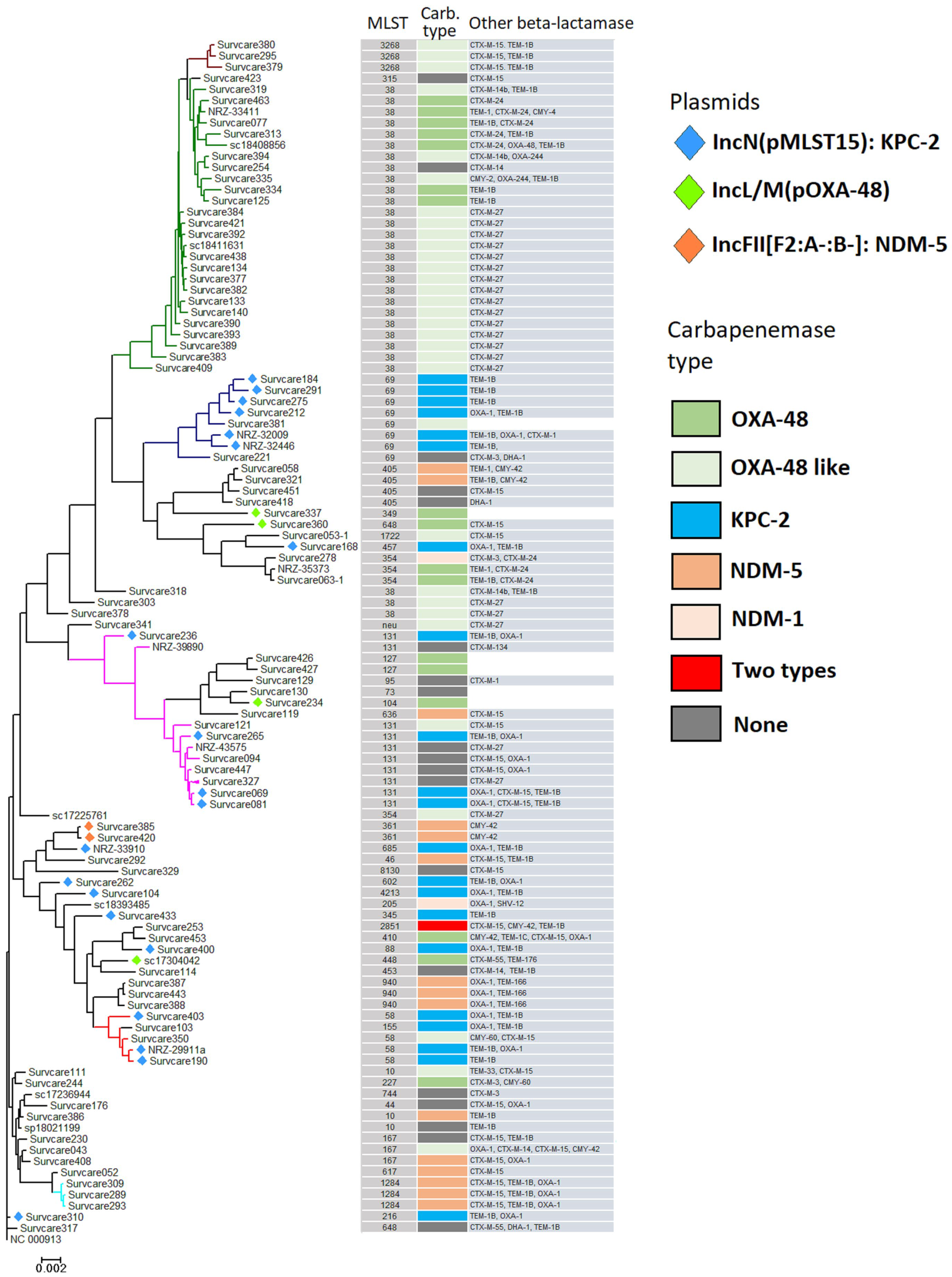 Antibiotics 13 00682 g002