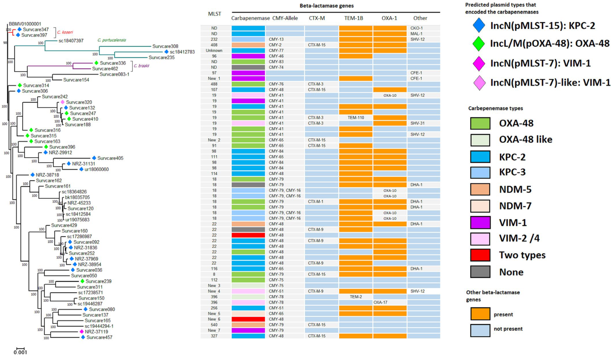 Antibiotics 13 00682 g004
