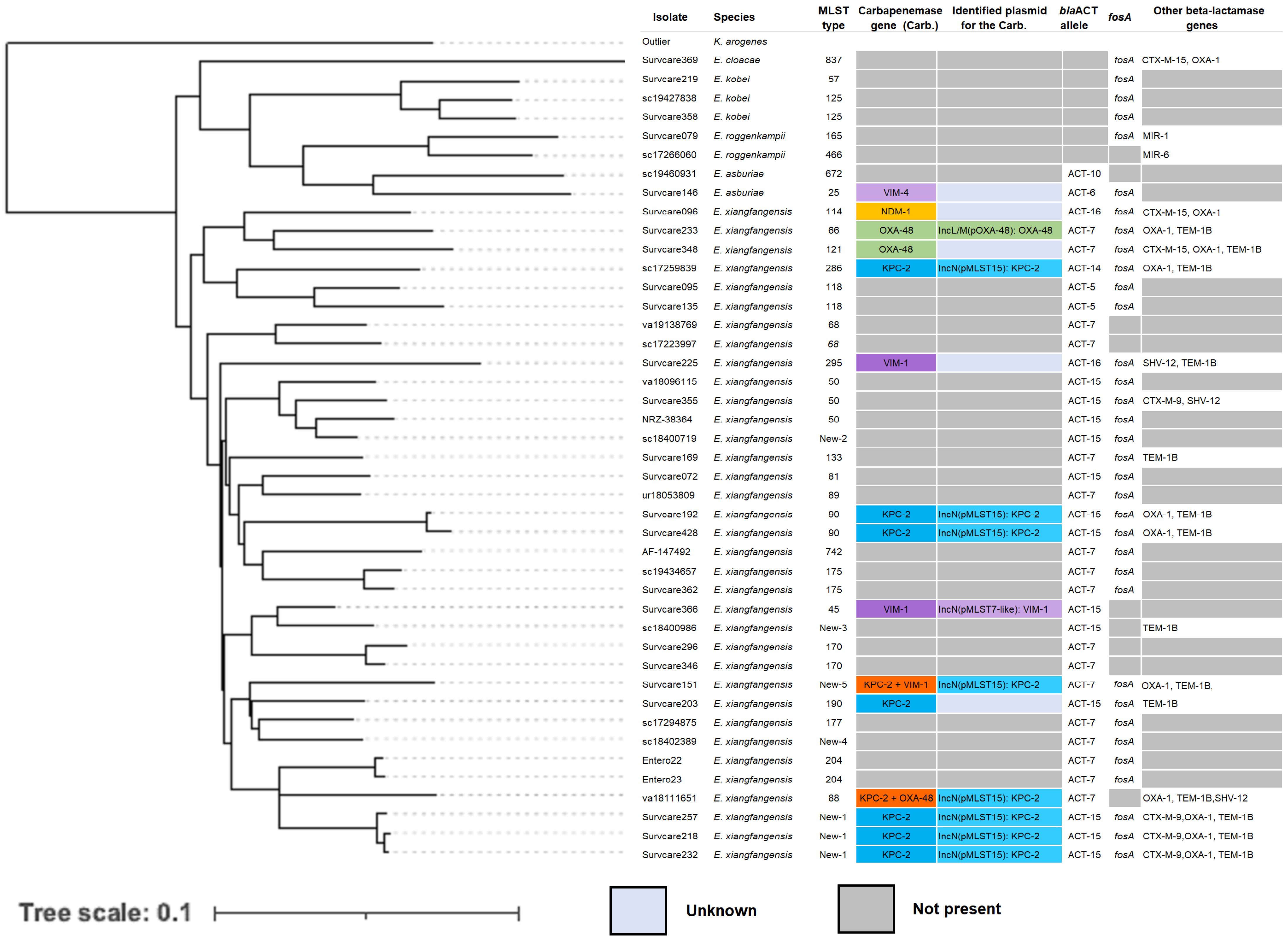 Antibiotics 13 00682 g005