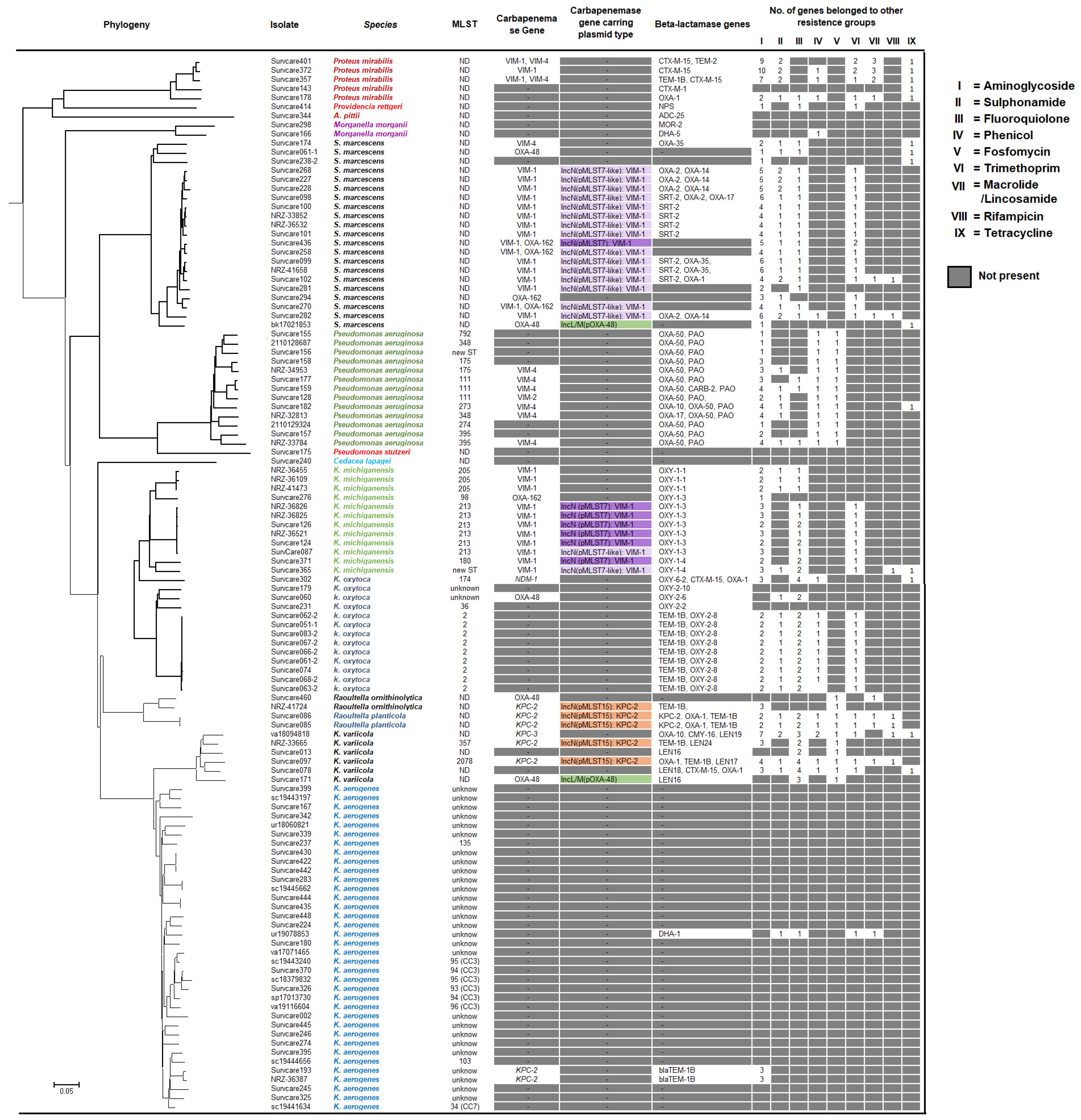 Antibiotics 13 00682 g007