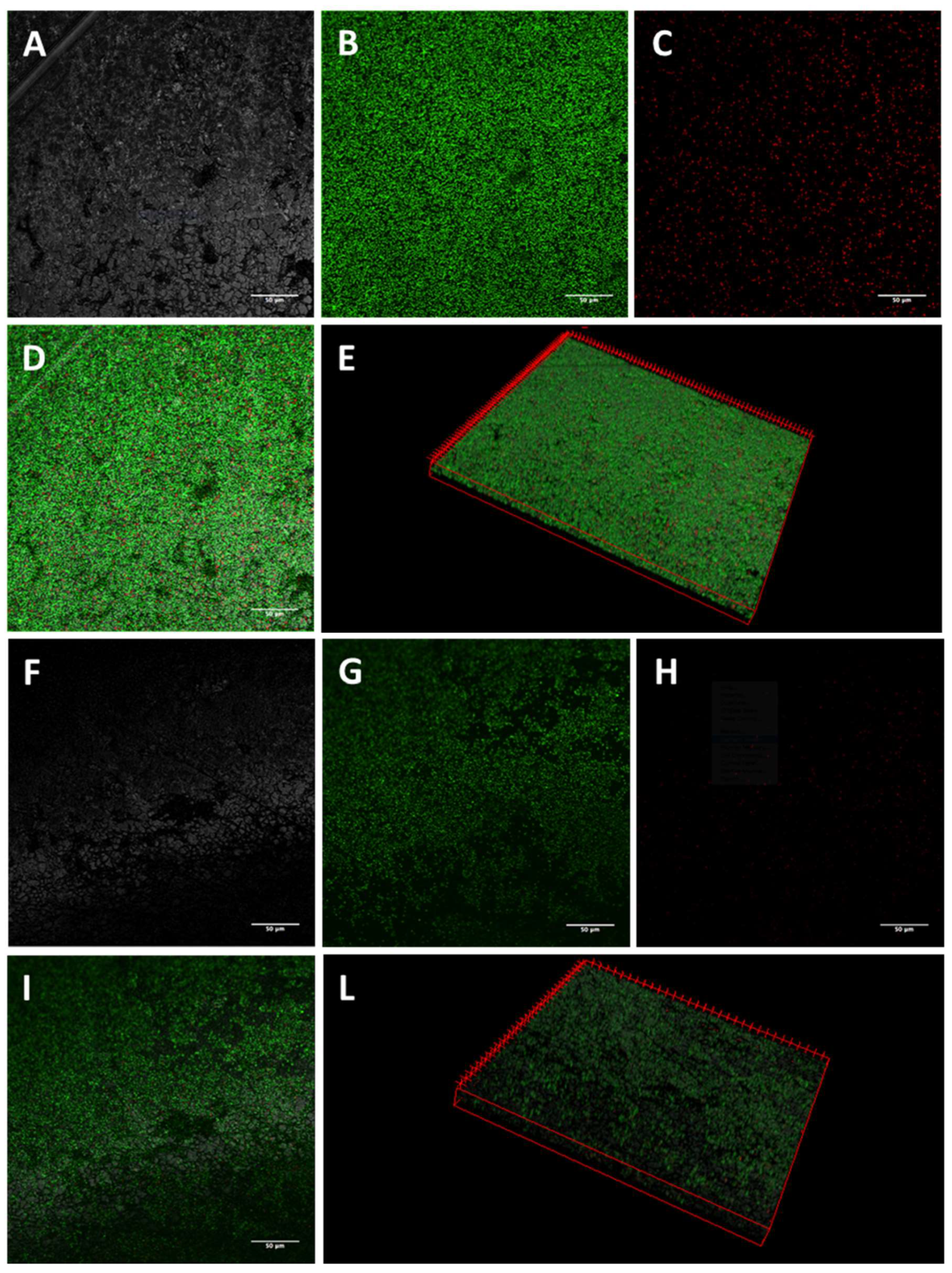 Antibiotics 13 00683 g003