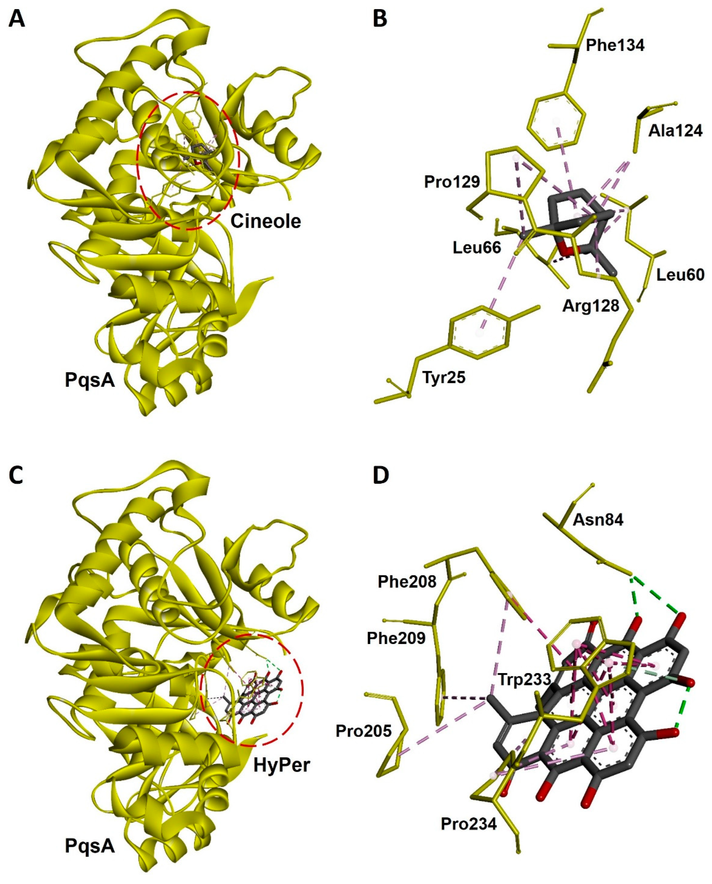 Antibiotics 13 00689 g006
