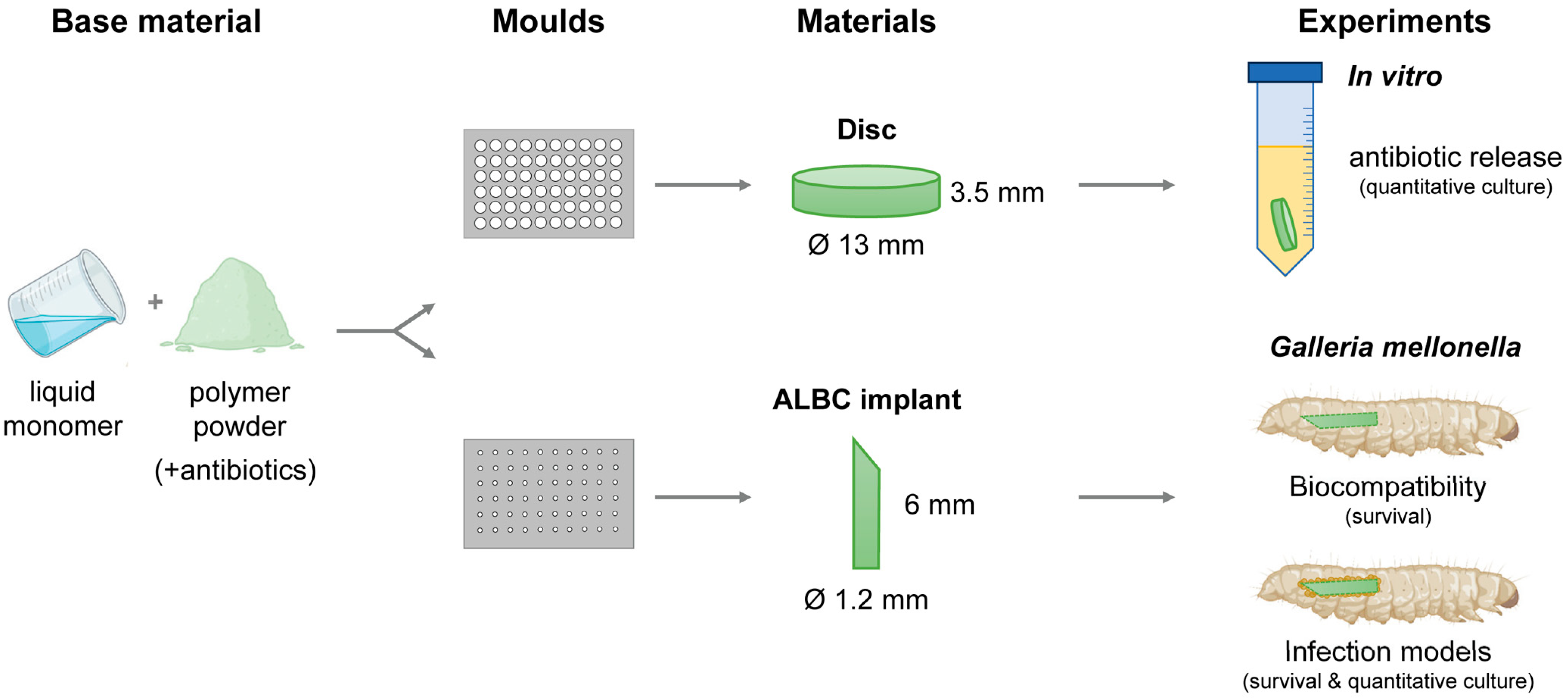 Antibiotics 13 00692 g005