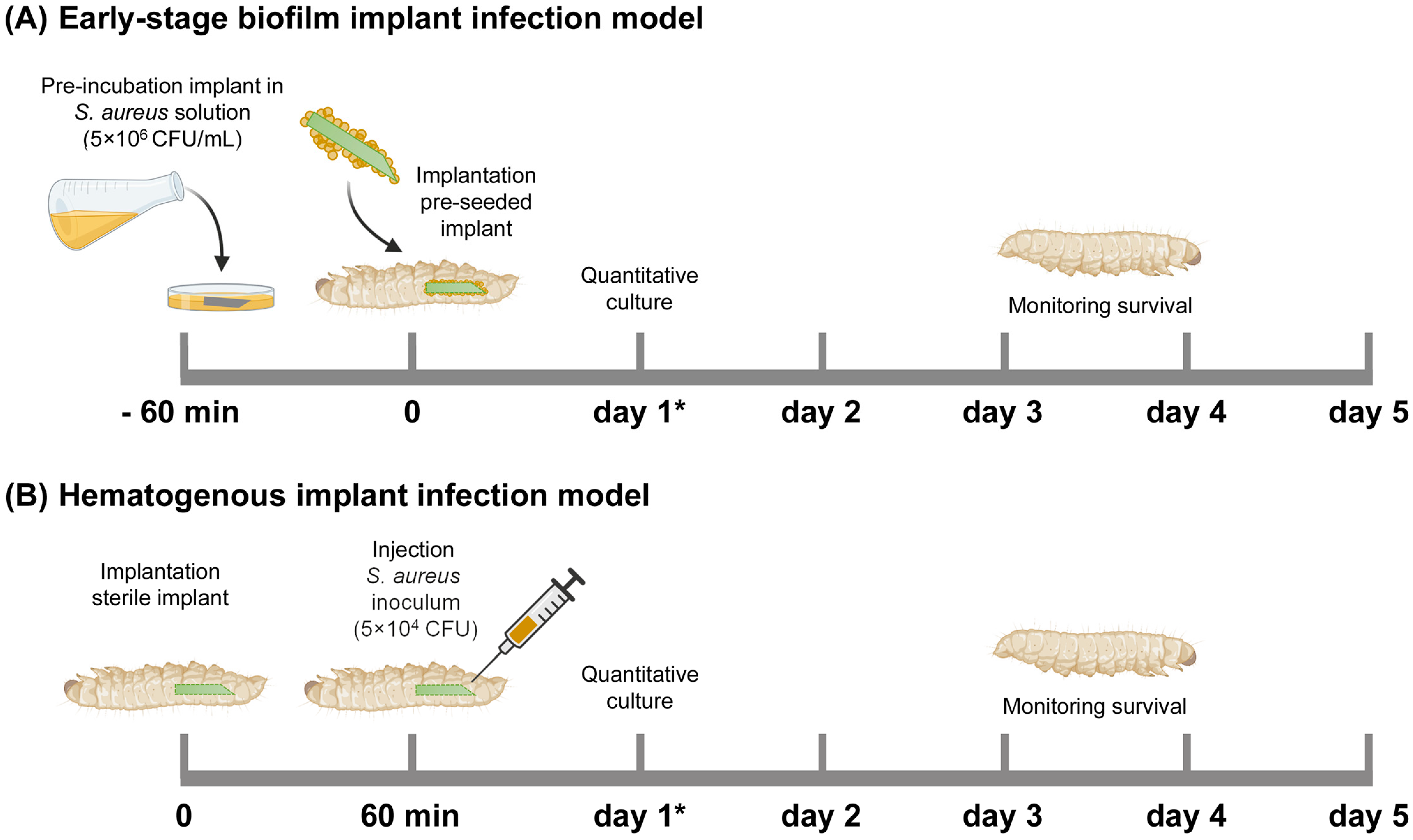 Antibiotics 13 00692 g006